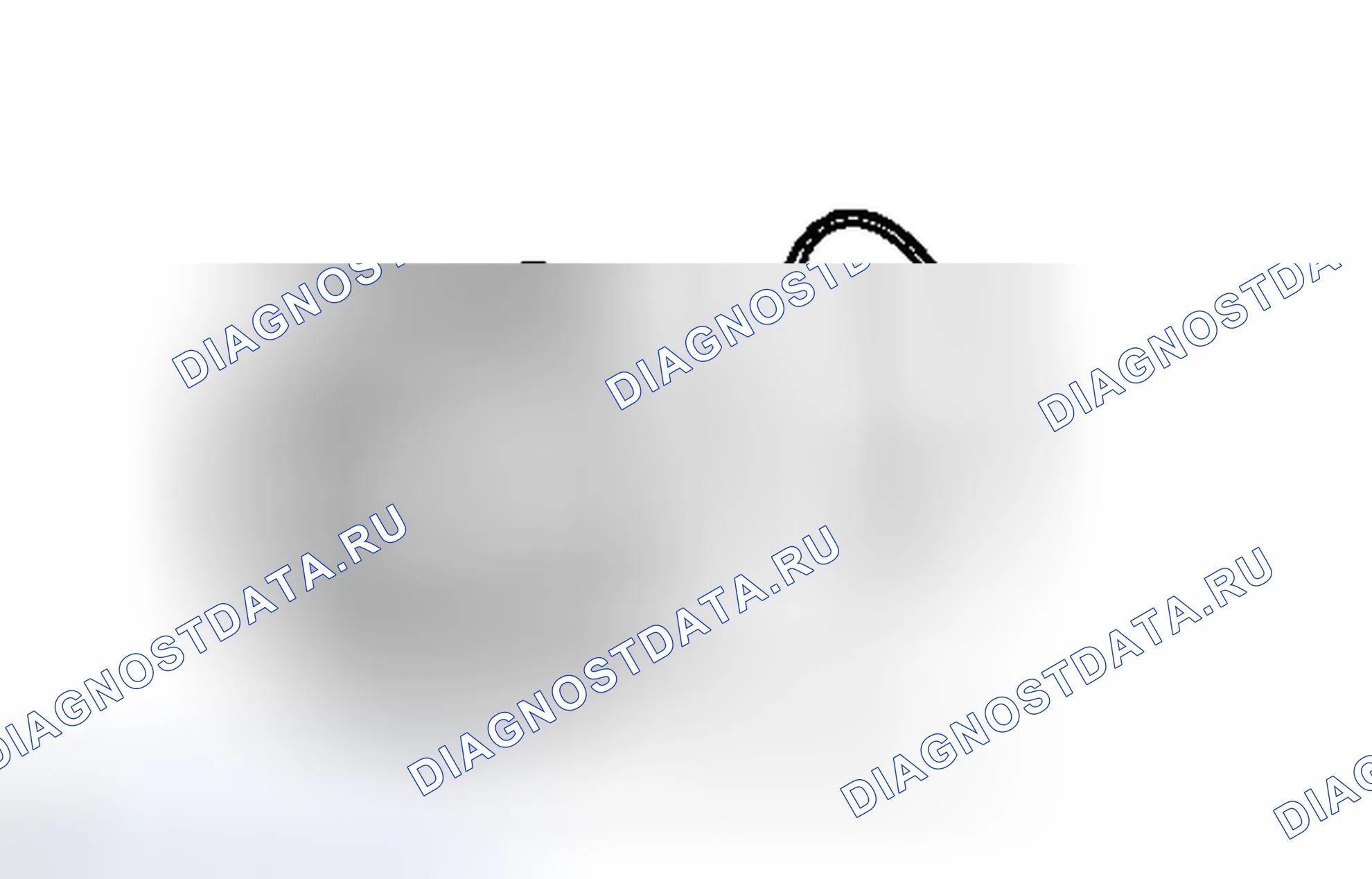 Рис. 337. Haval Xiaolong I
