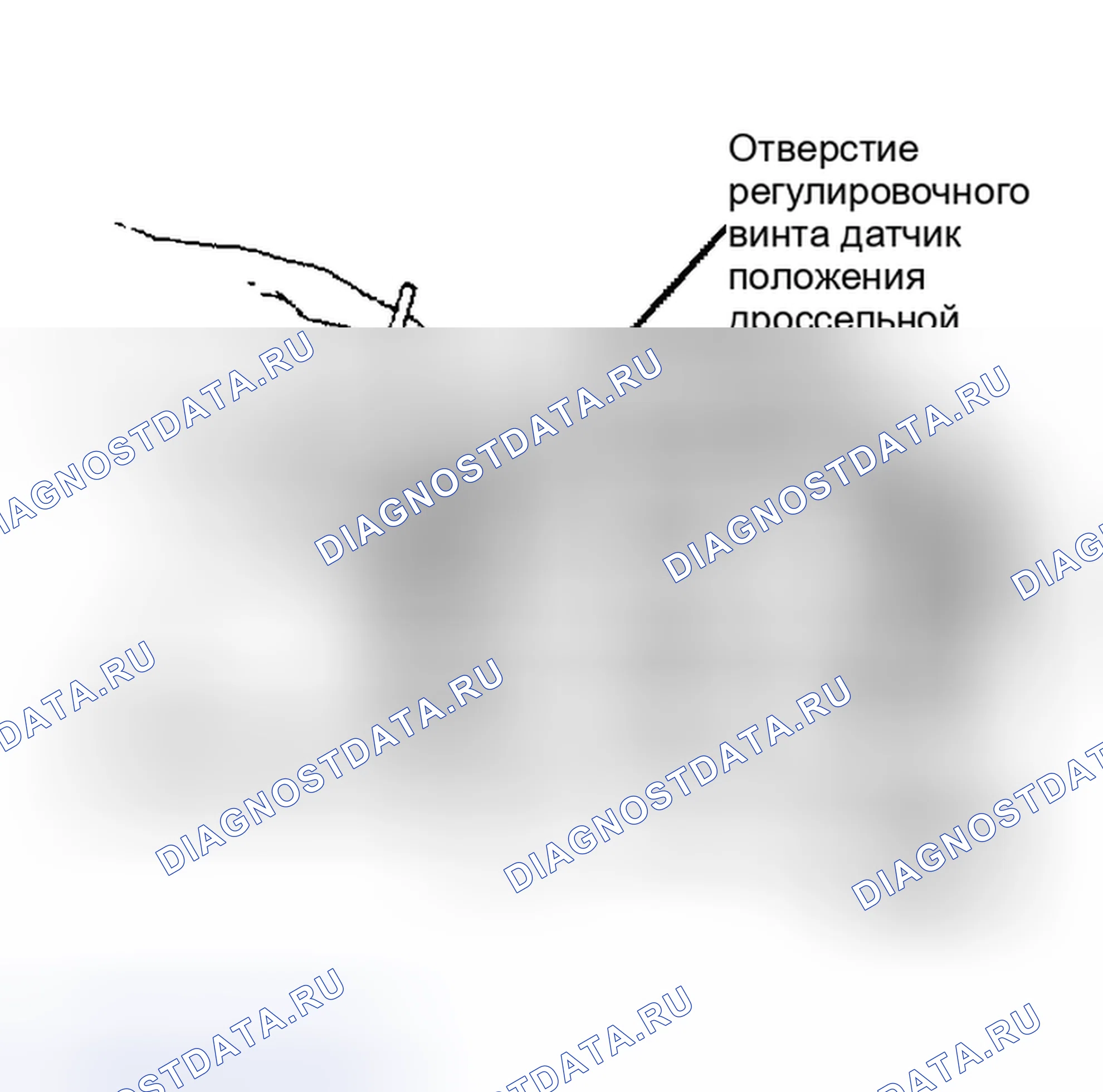Рис. 8: Место регулировки датчик положения дроссельной заслонки для E4ME. Pontiac Grand Prix IV