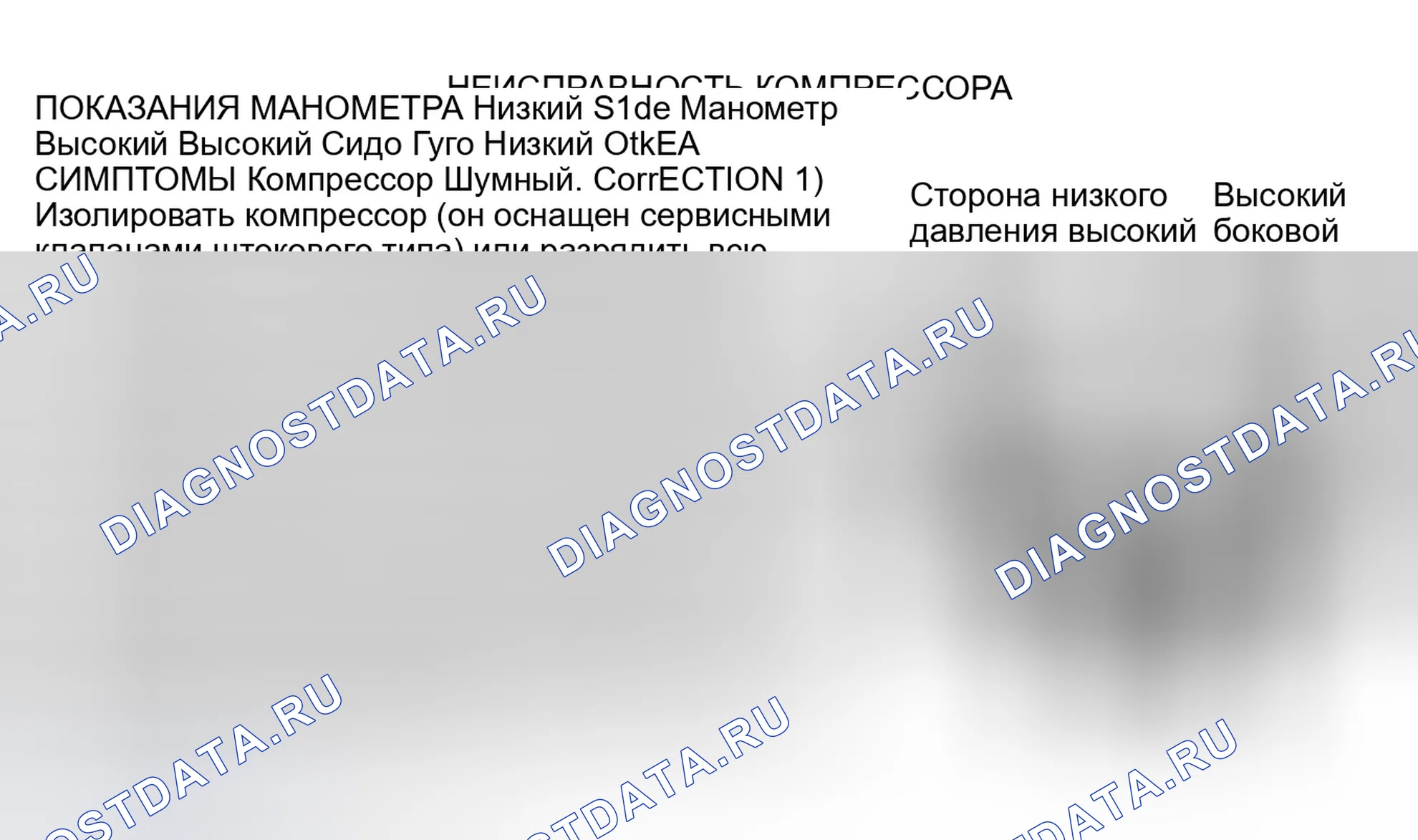 Рис. 15. Dodge Dakota WS 