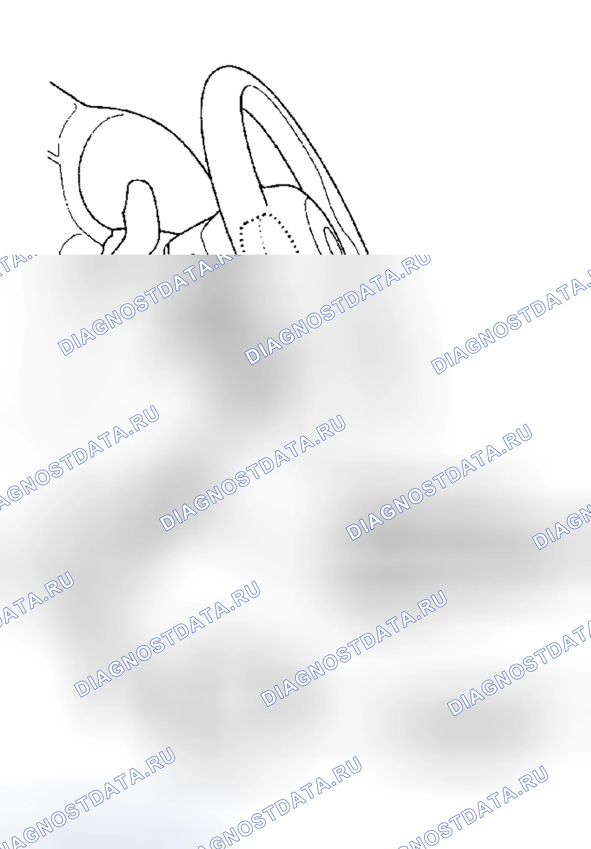Рис. 4. Honda Insight ZE1
