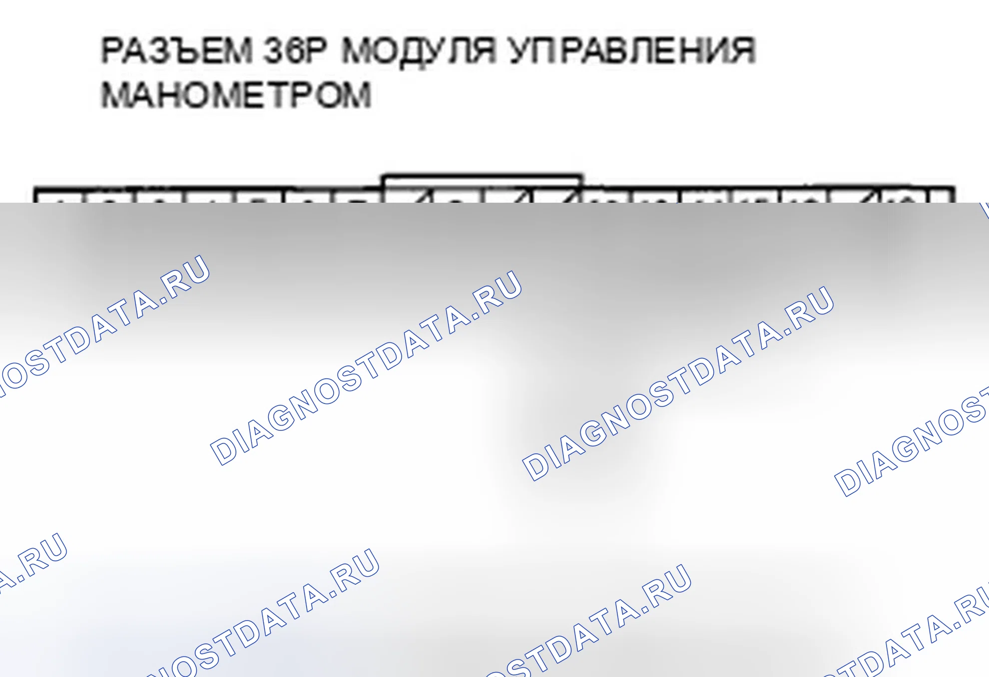 Рис. 515. Honda Element YH2 рестайлинг 2