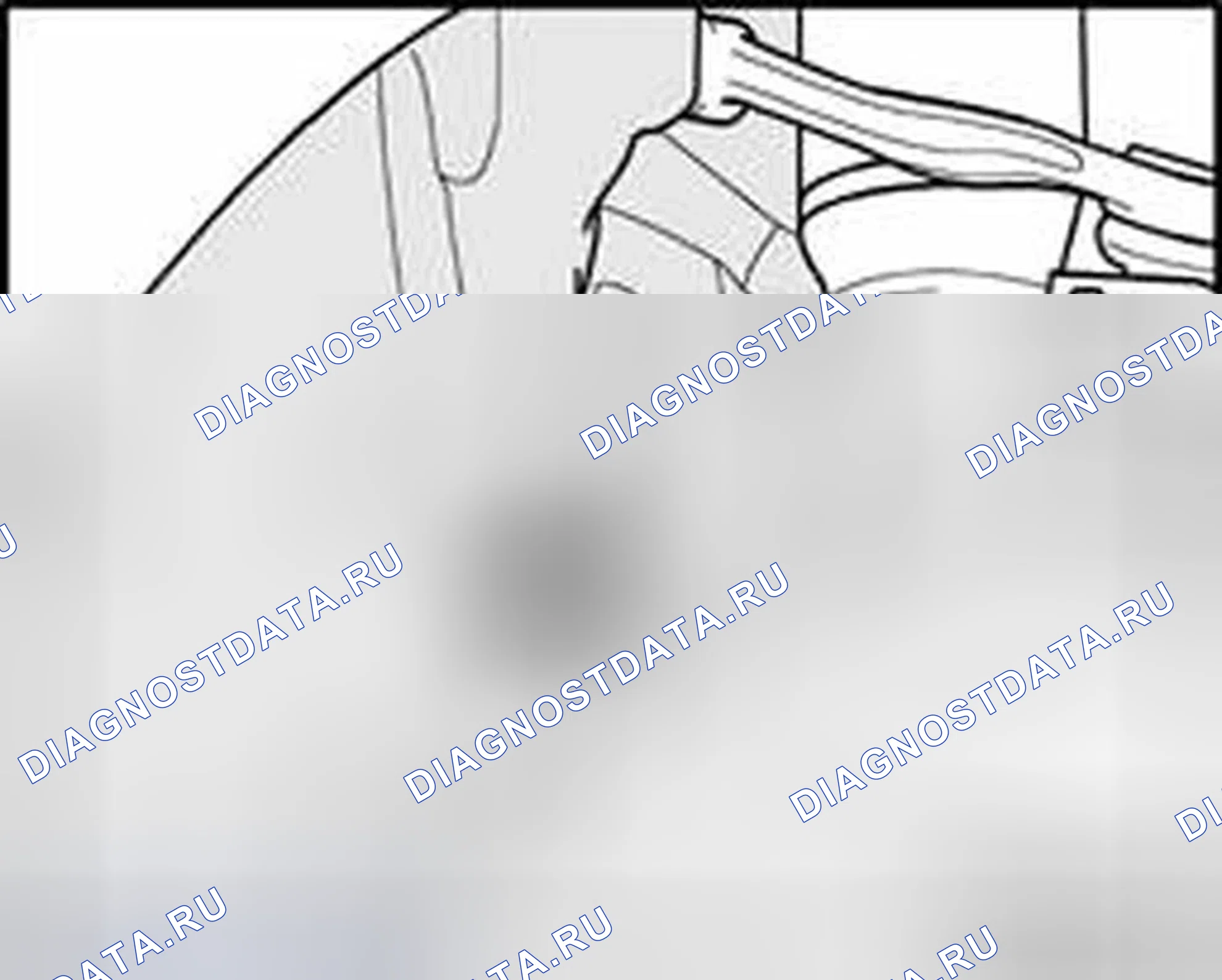 Рис. 299. Audi S8 D3 рестайлинг