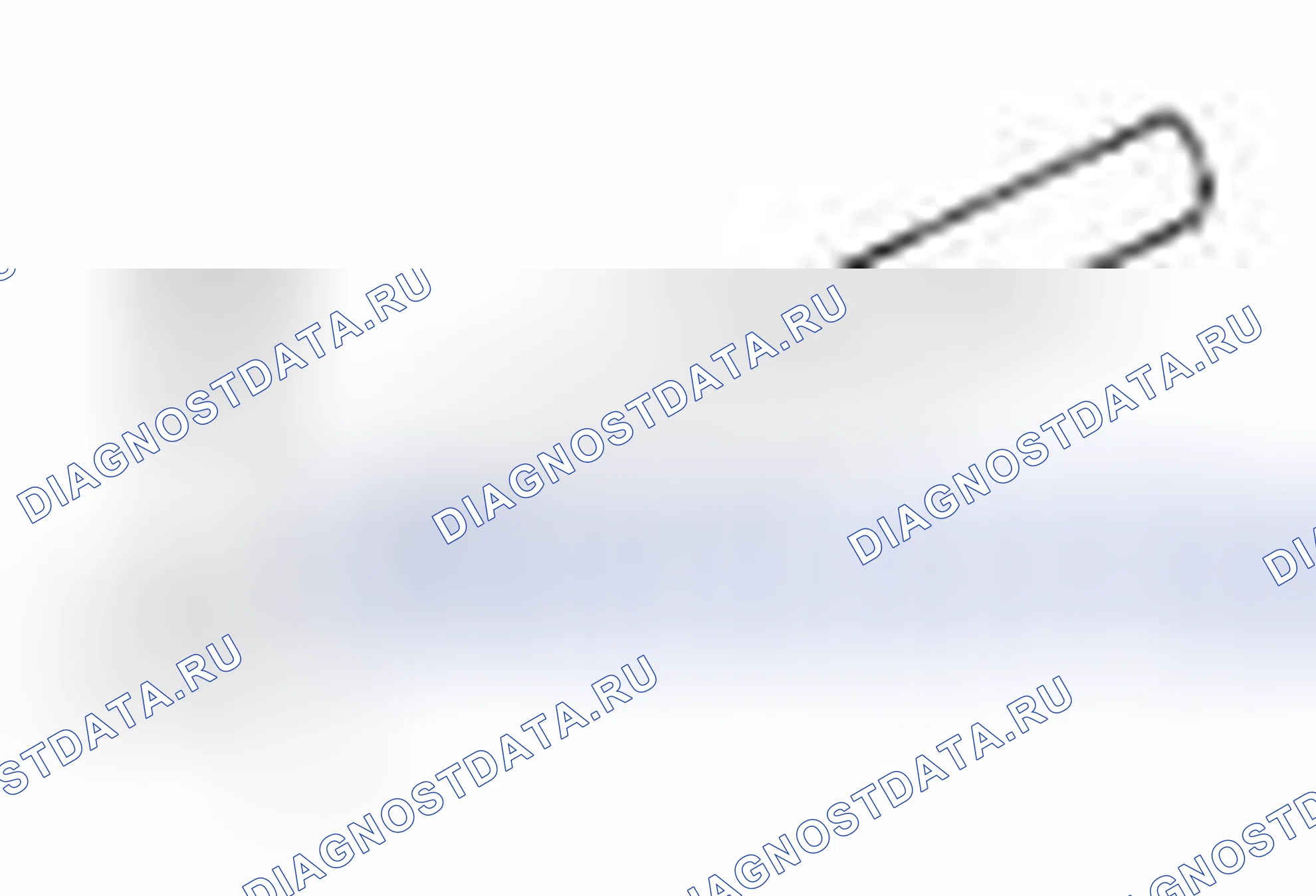 Рис. 246. Suzuki Equator I