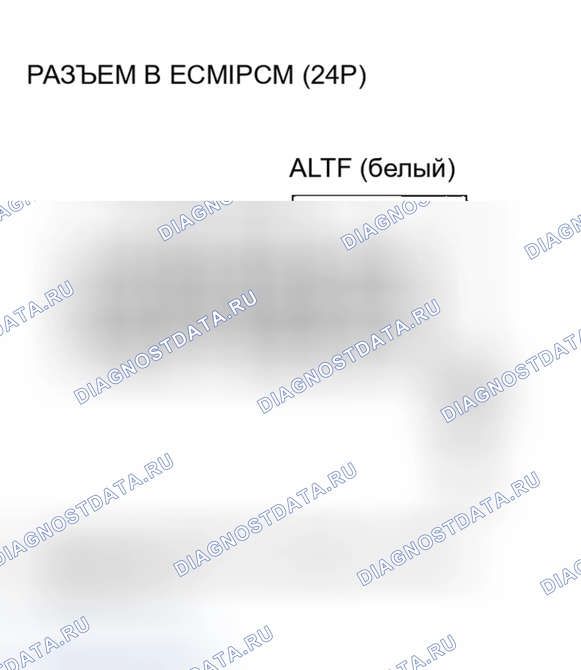 Рис. 224. Honda Element YH2