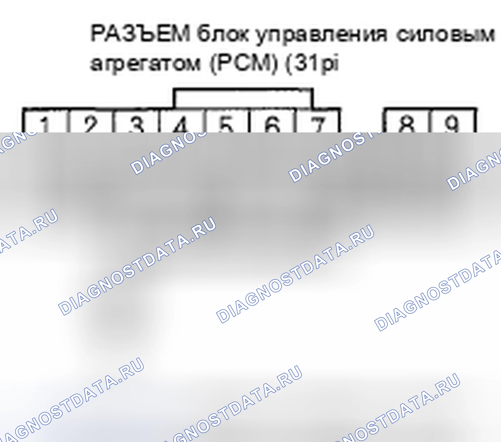 Рис. 207. Honda Accord VII рестайлинг