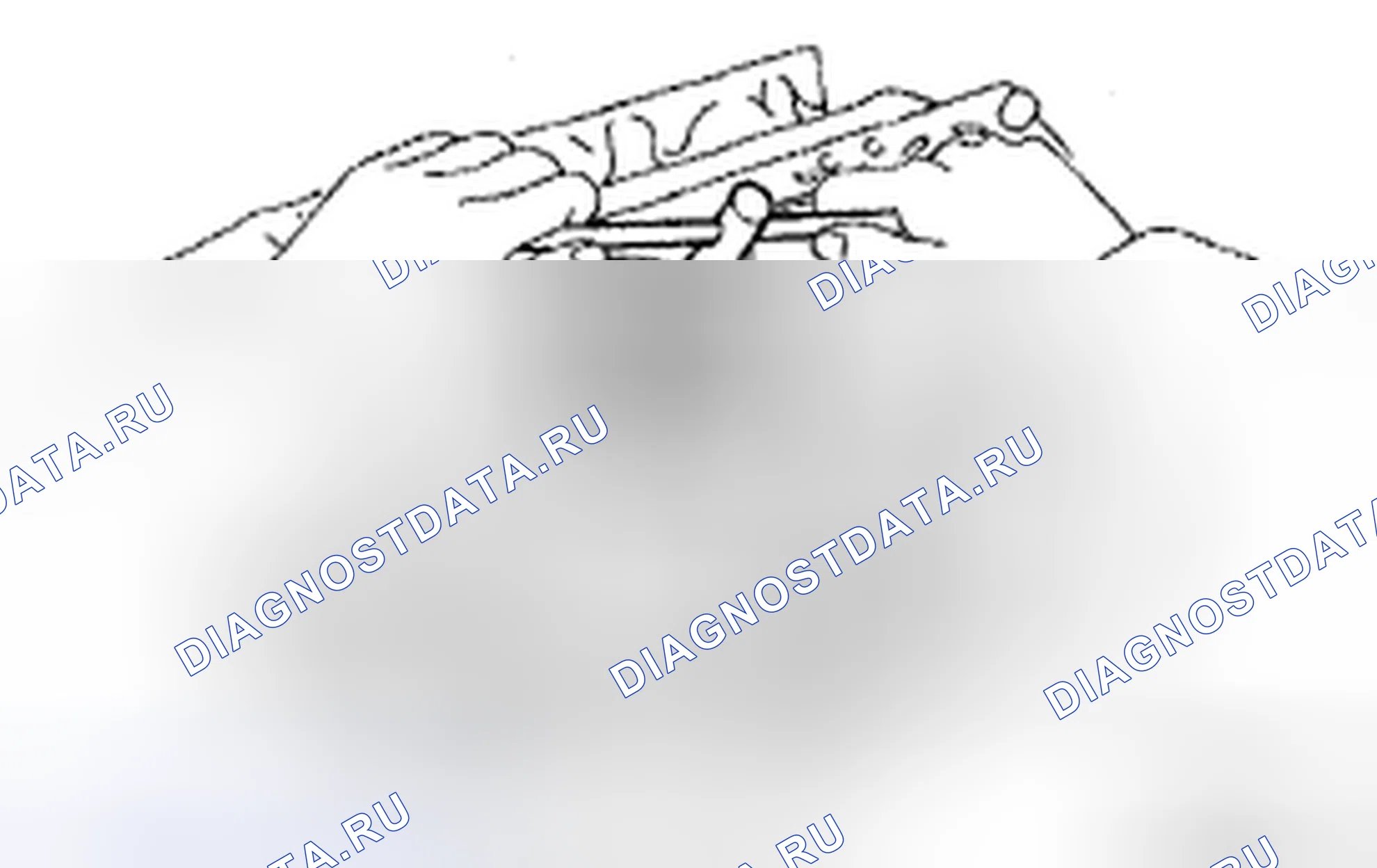 Рис. 301. Honda Accord IX