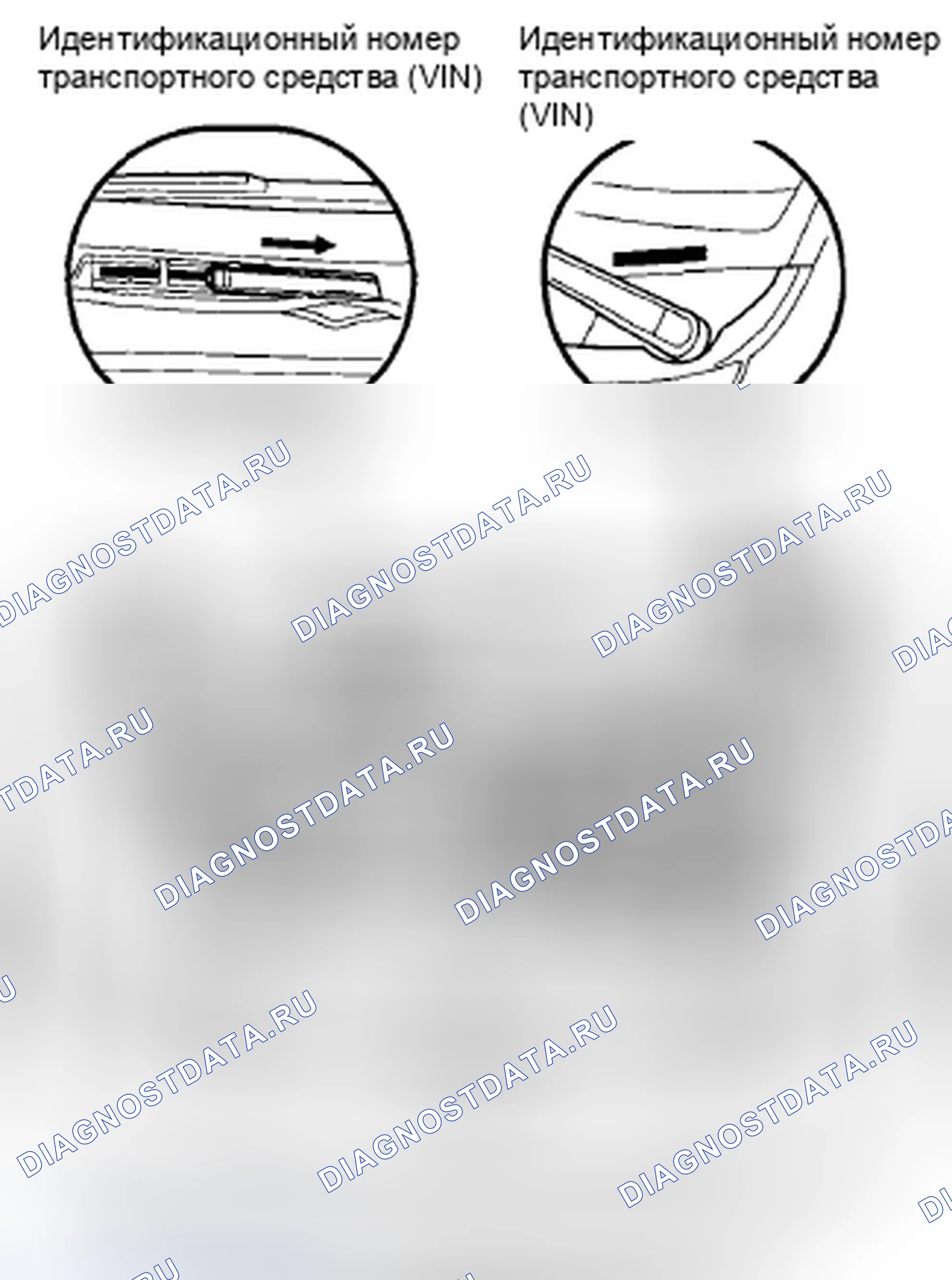 Рис. 64: Расположение идентификационных номеров. Honda Civic VIII