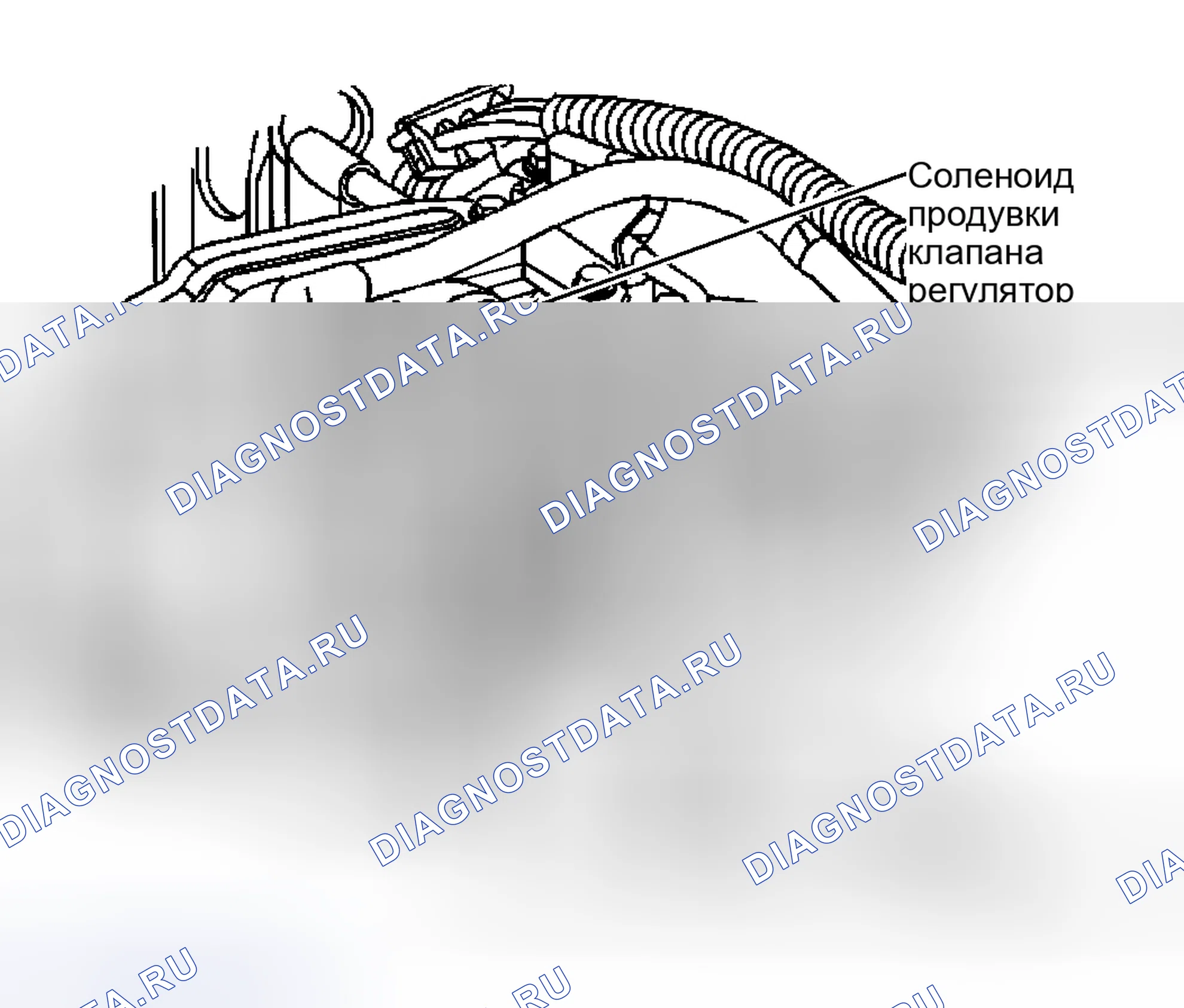 Рис. 12: Соленоид продувки EVAP. Hyundai Venue I