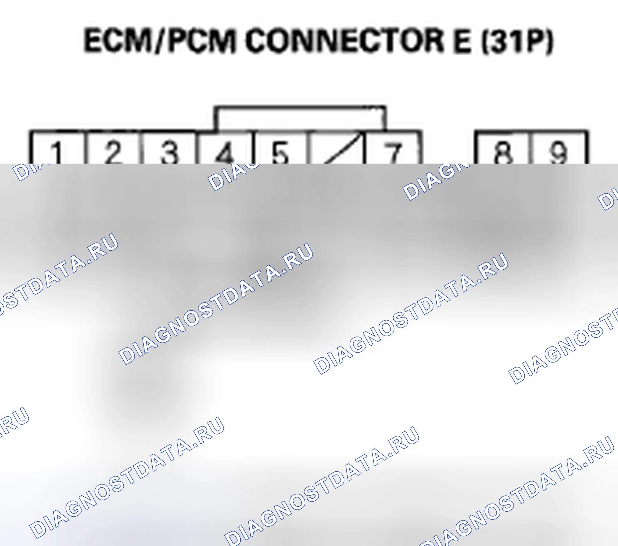 Рис. 511. Honda Element YH2 рестайлинг 2