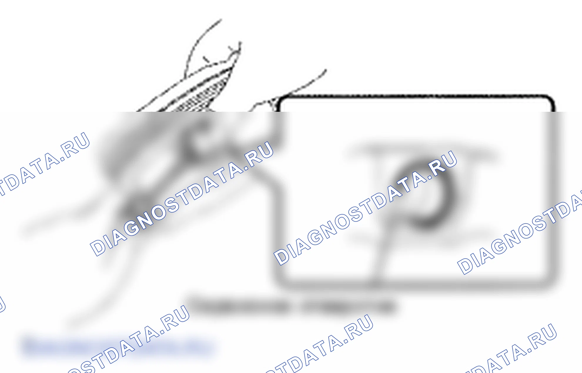 Рис. 593. Lexus LS IV
