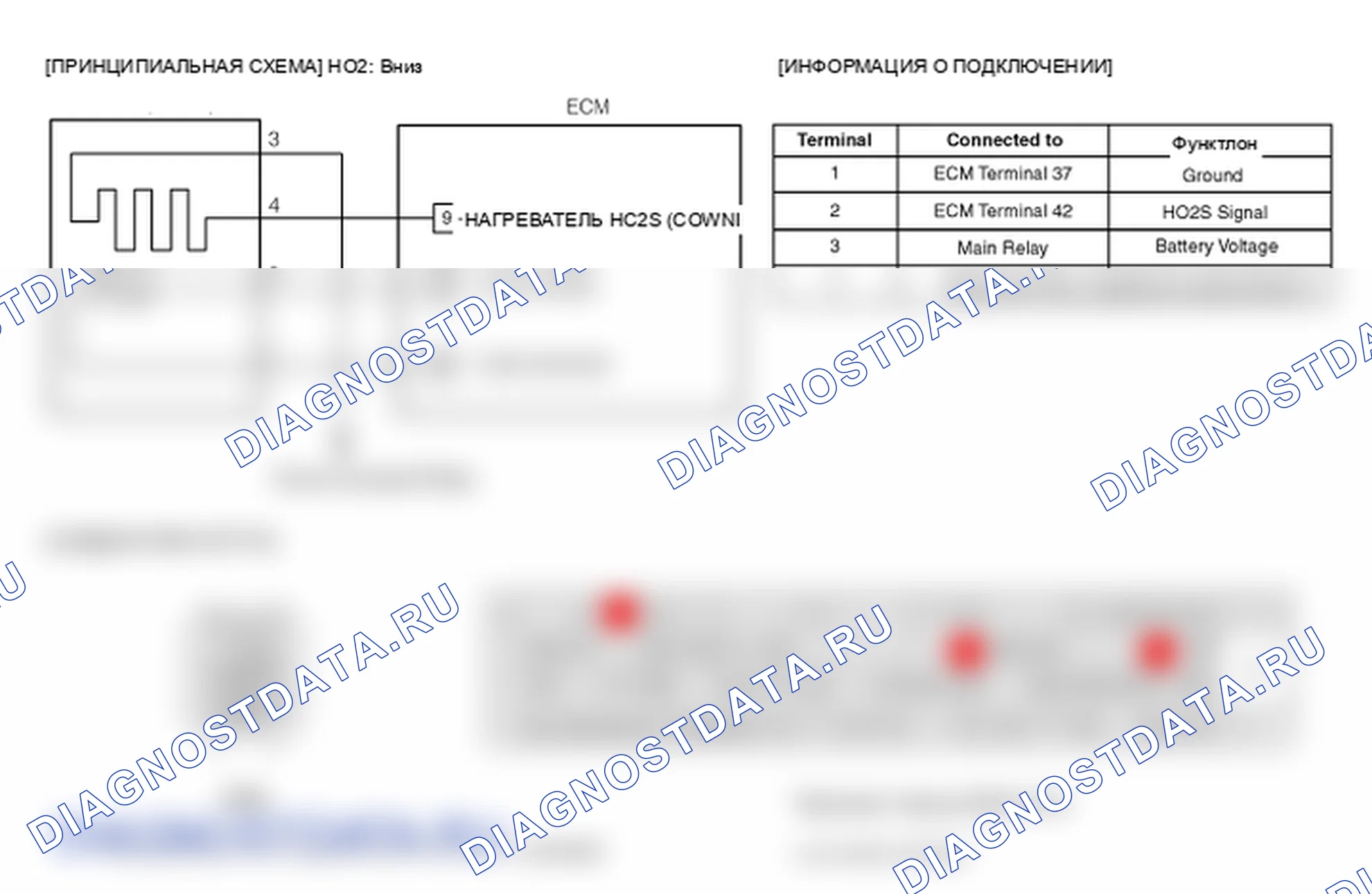 Фрагмент электросхемы: P0036. Kia Sportage KM