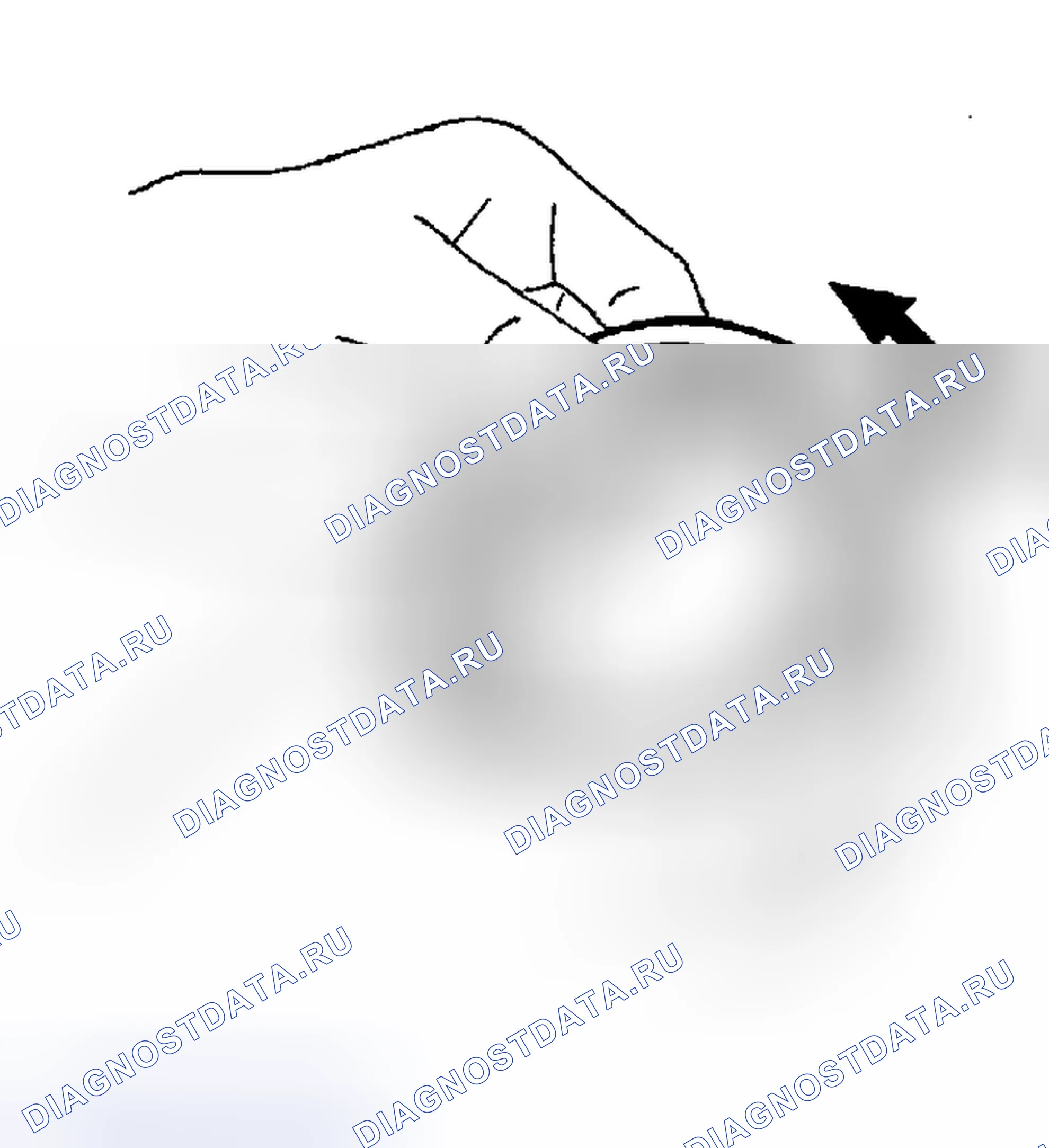 Рис. 443: Подшипник. Nissan Sentra B15