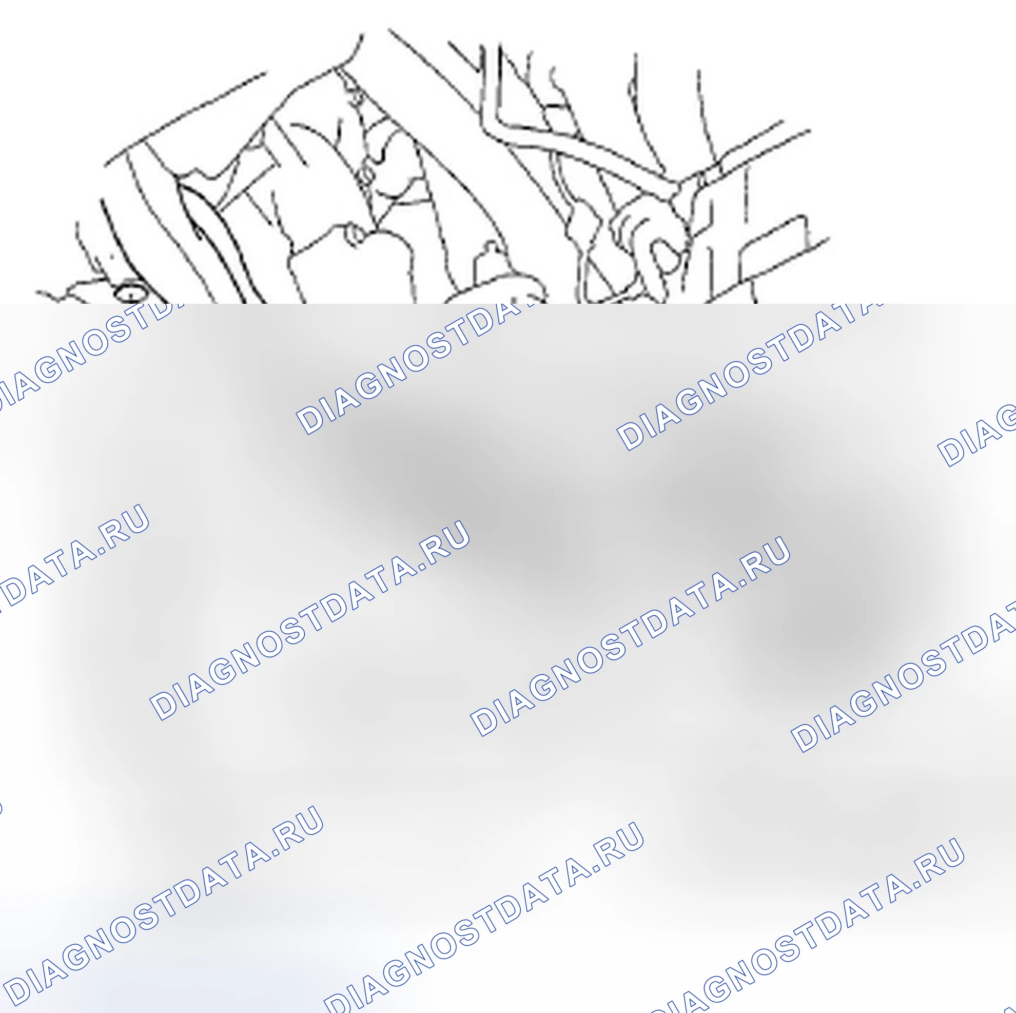 Рис. 99. Acura TSX II