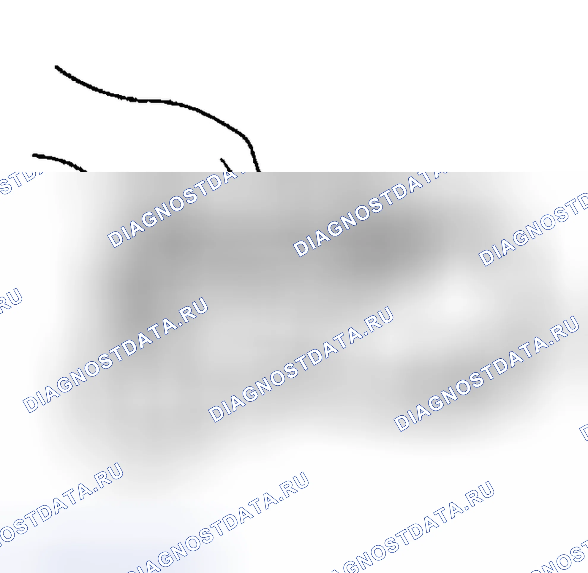 Рис. 350. Geely Preface I