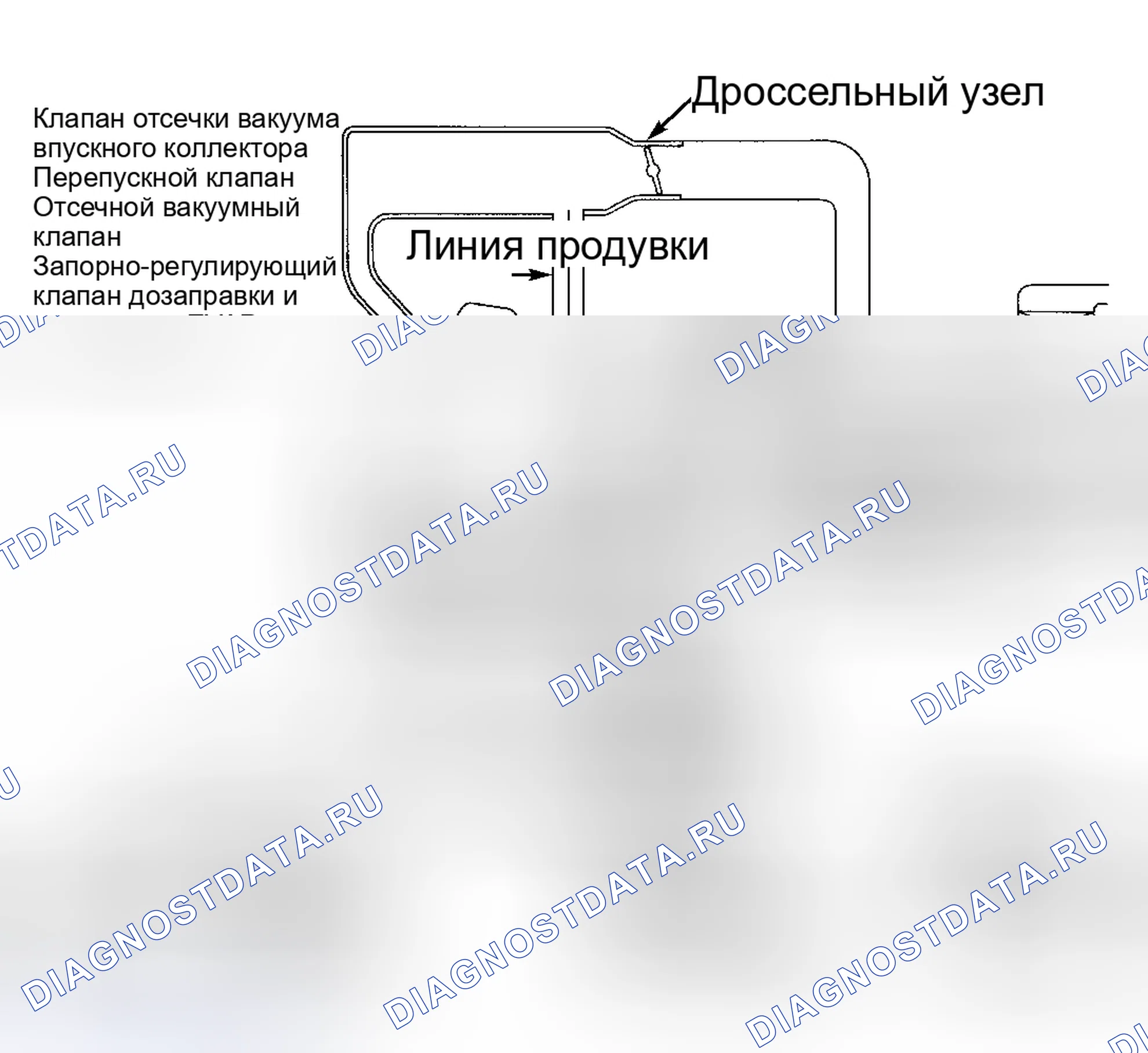 Рис. 8. Nissan Altima L30