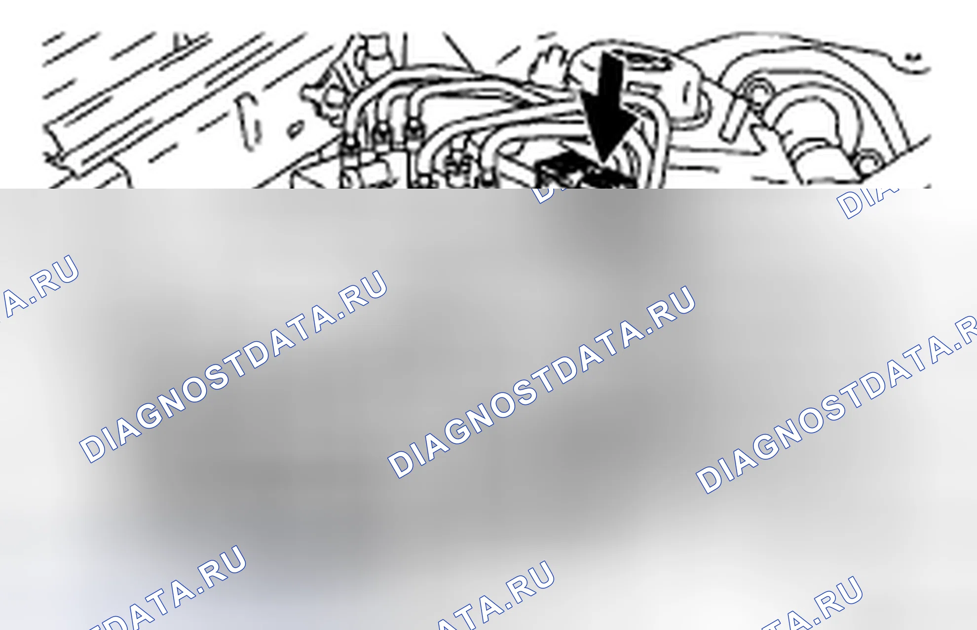Рис. 167. Honda Accord IX