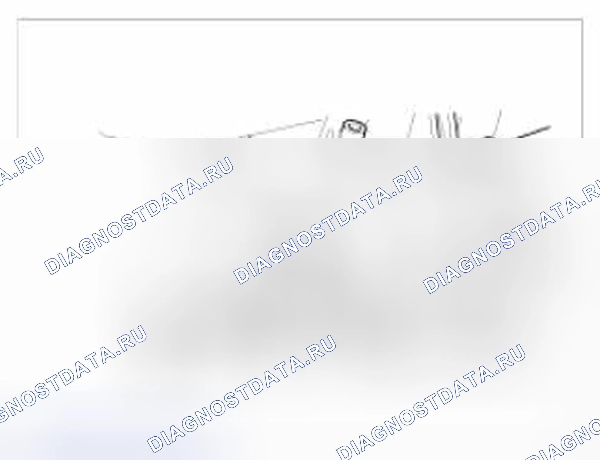 Рис. 246. BMW 6 серия F06/F13/F12