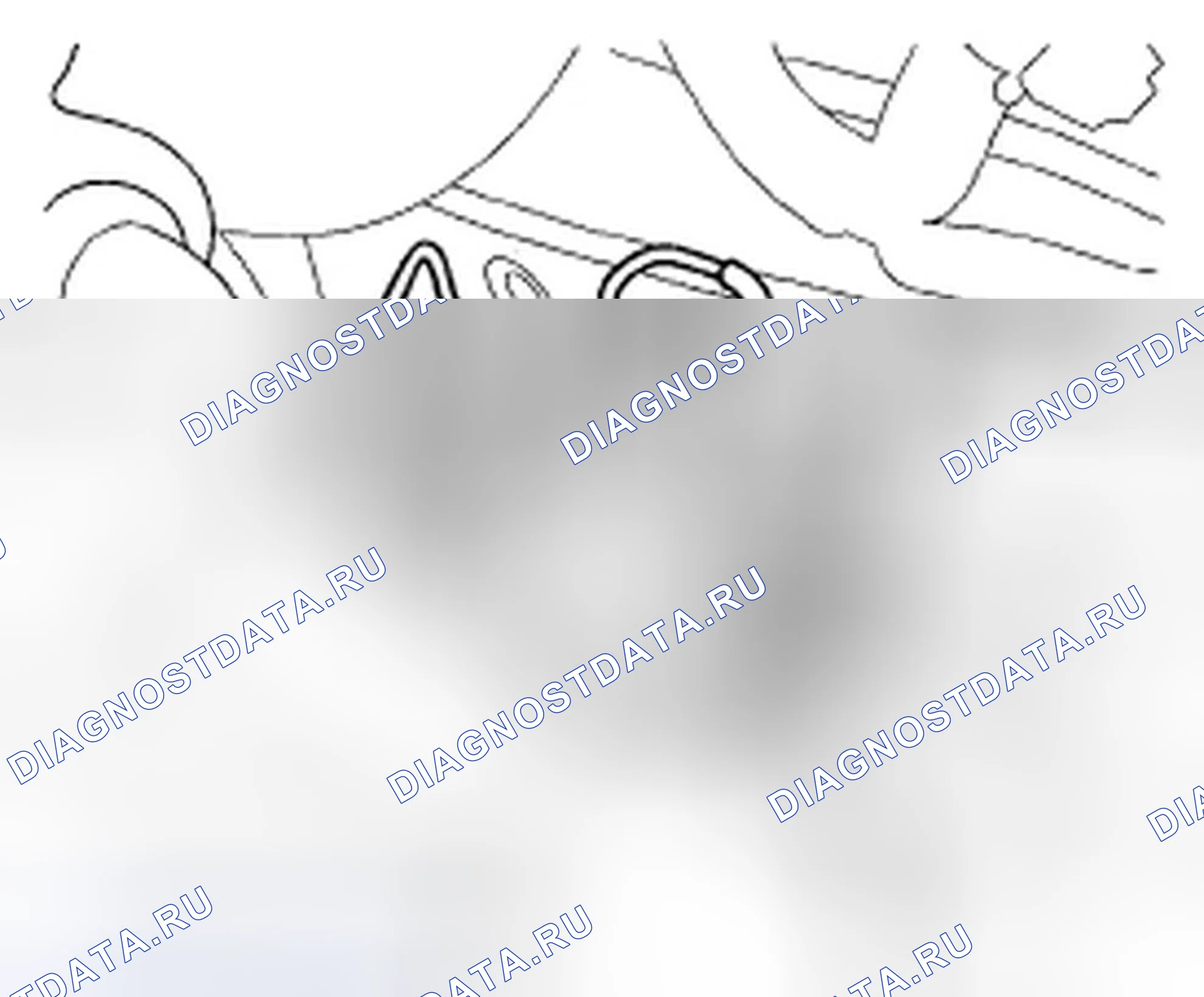 Рис. 53. Acura TSX I