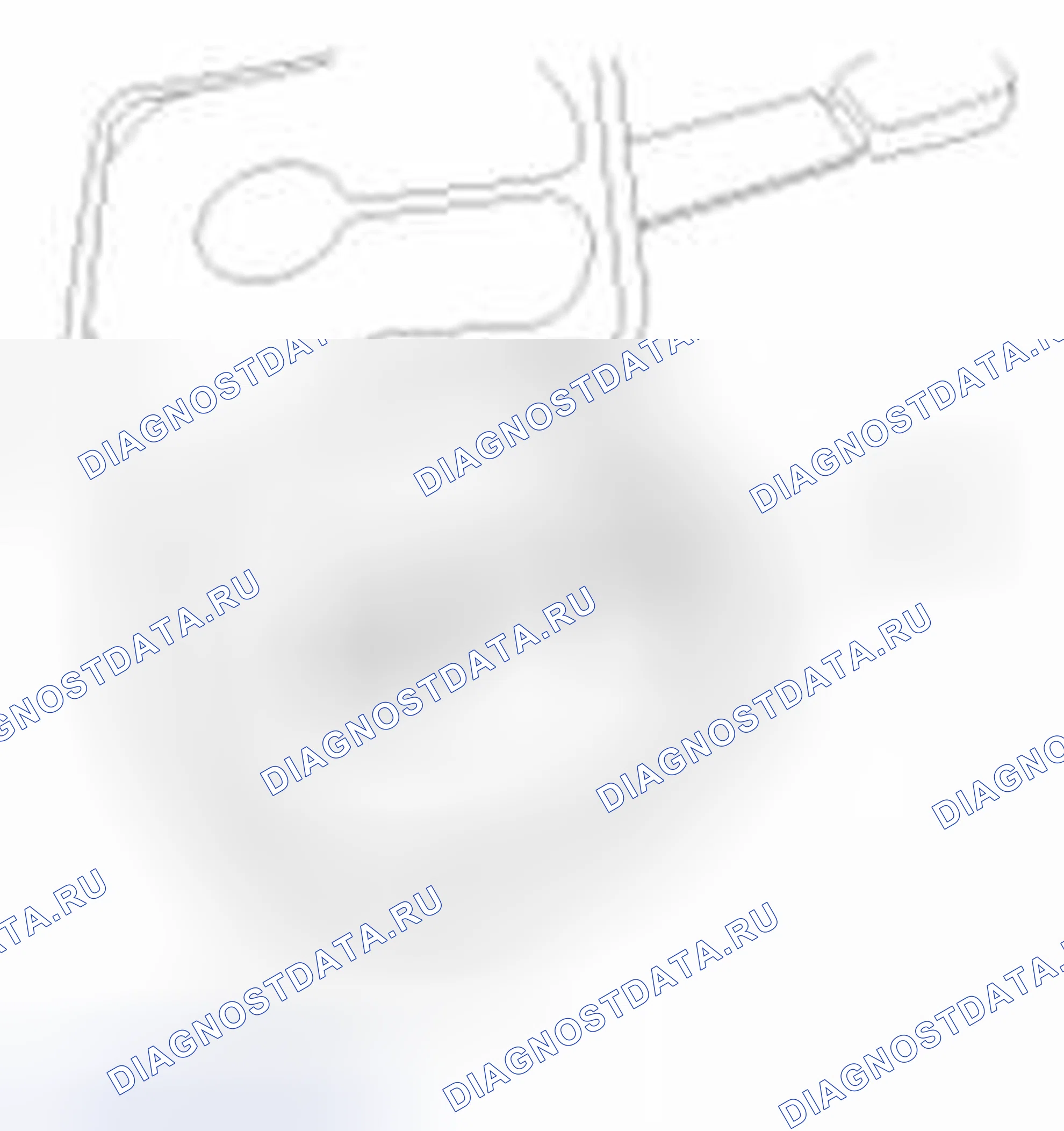 Рис. 31. Geely SC7 I