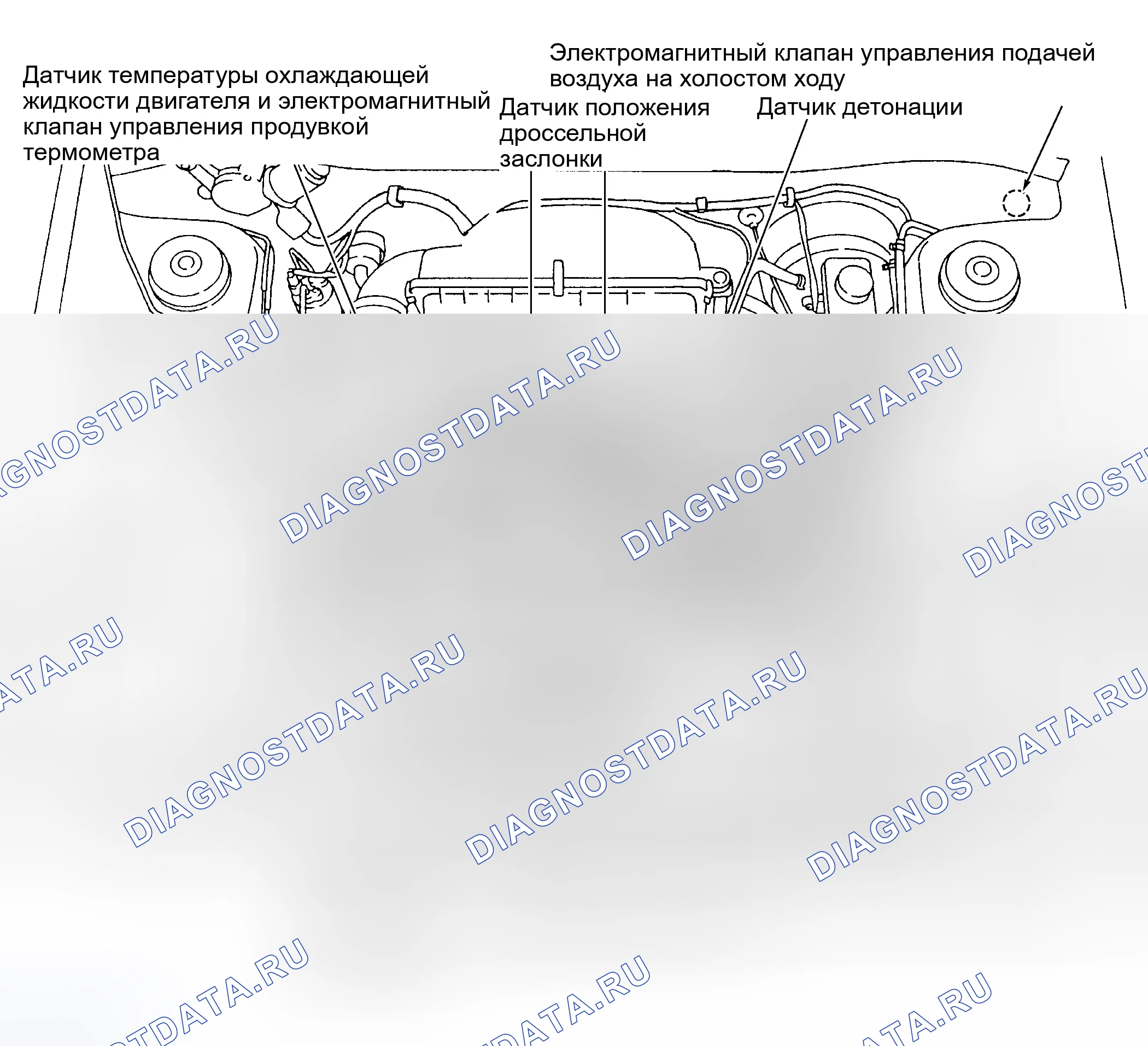 Рис. 1: ГРАФИКИ РАСПОЛОЖЕНИЯ КОМПОНЕНТОВ. Subaru Forester SF рестайлинг