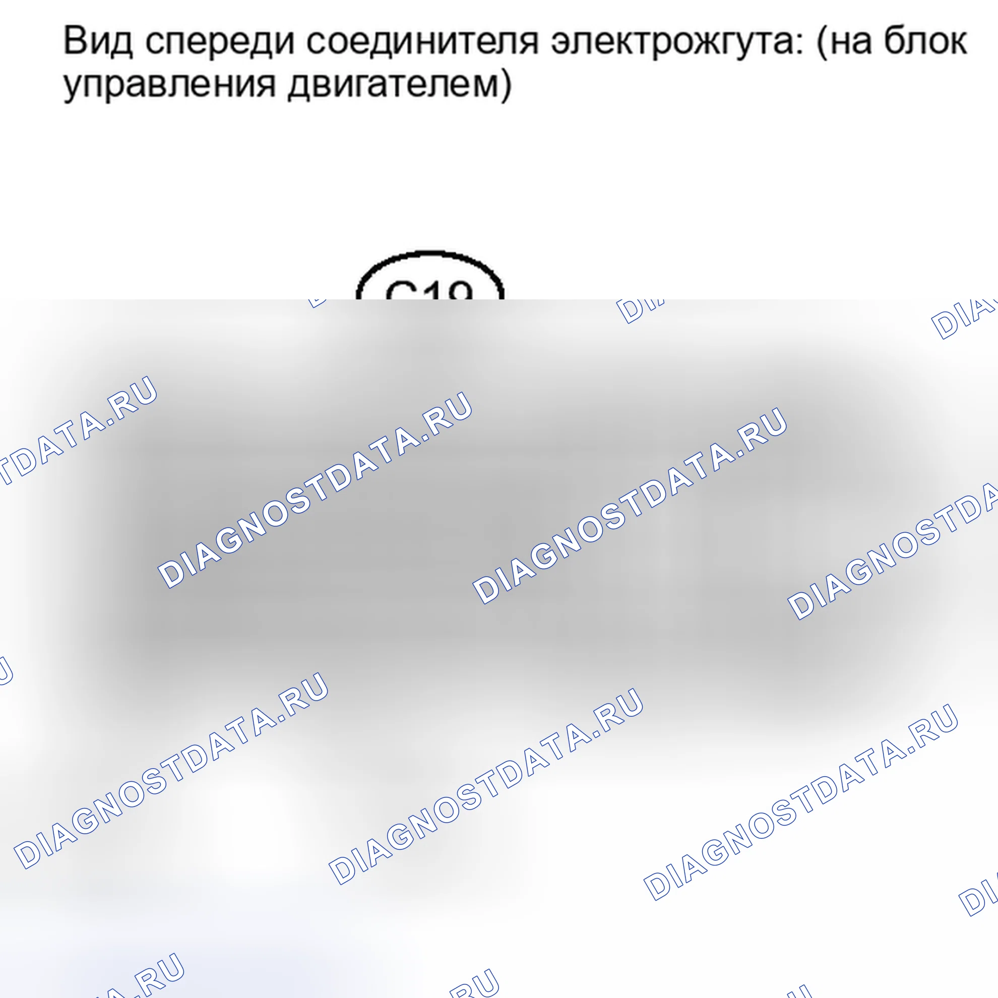 Рис. 175. Scion xD I