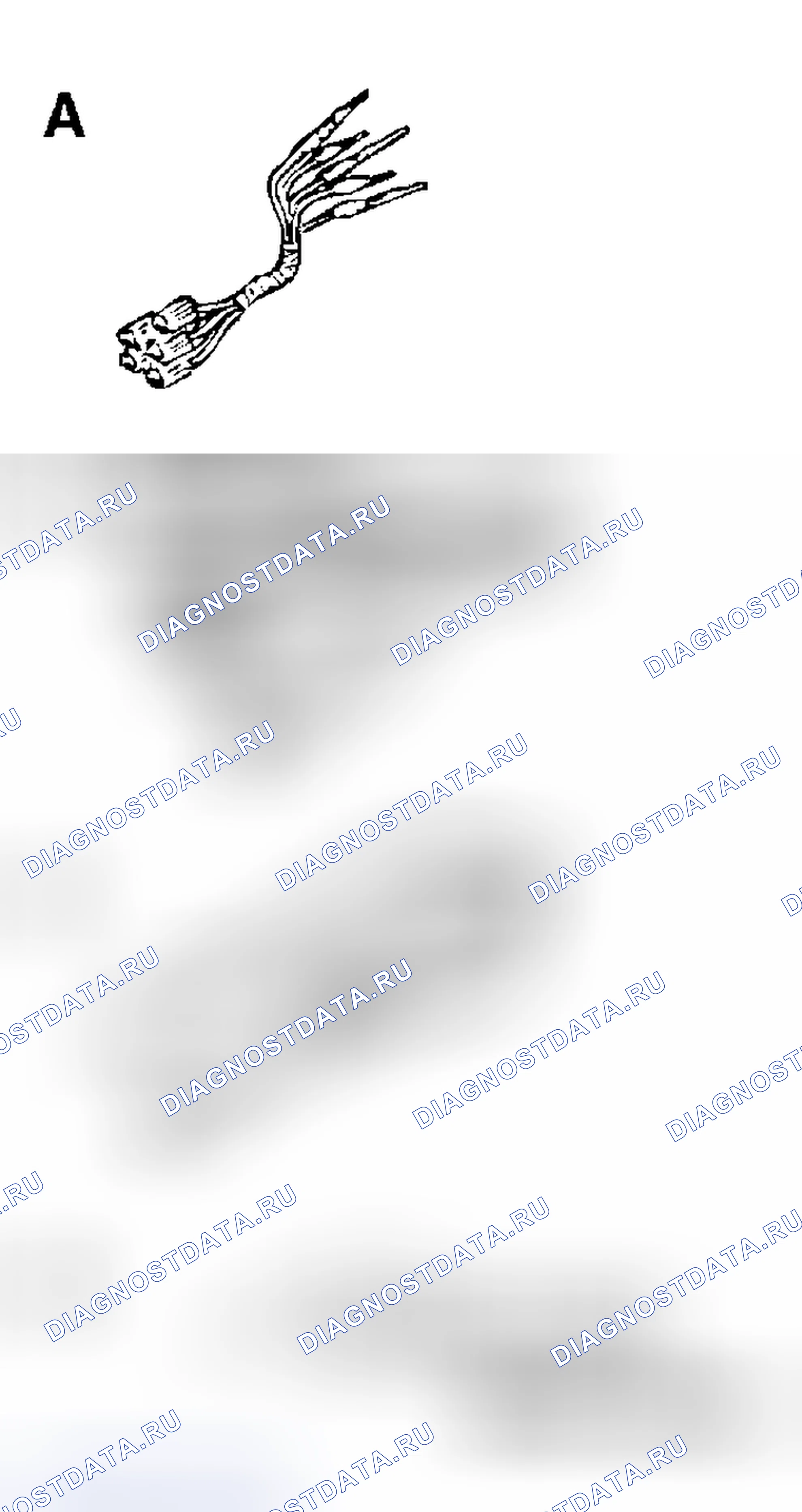 Рис. 274. Mitsubishi Galant IX рестайлинг