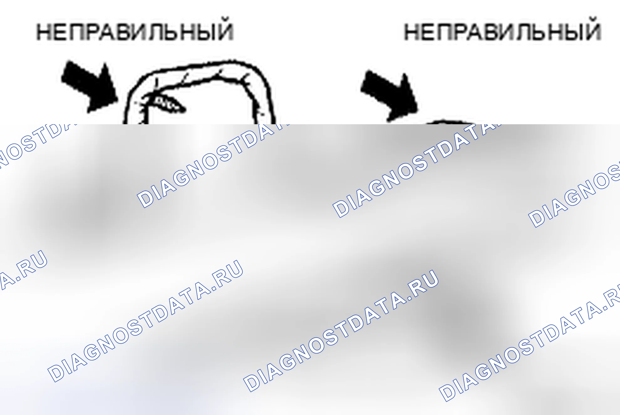 Рис. 59. Honda Accord IX
