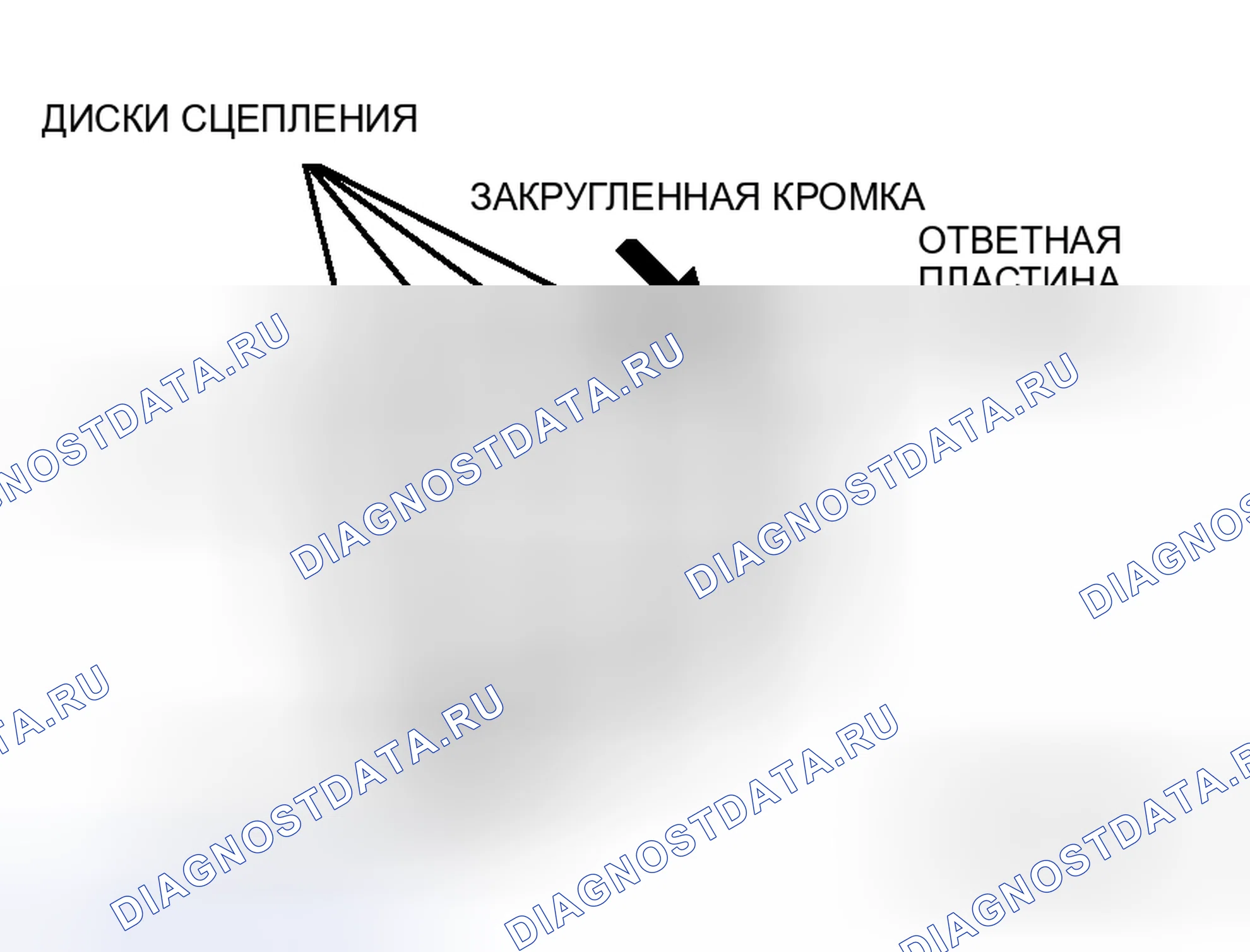 Рис. 519. Honda Fit Shuttle I
