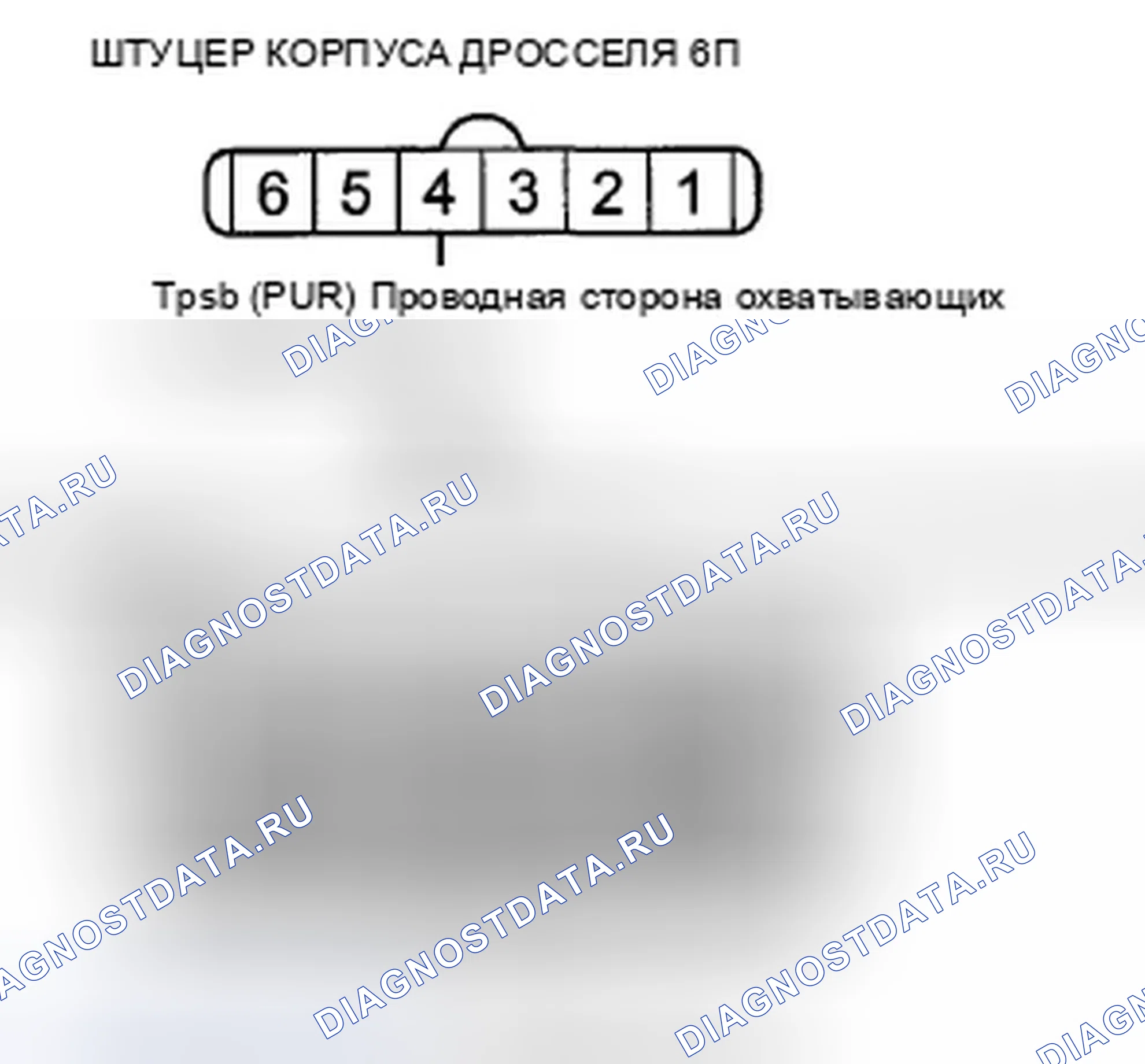Рис. 249. Honda Crosstour I