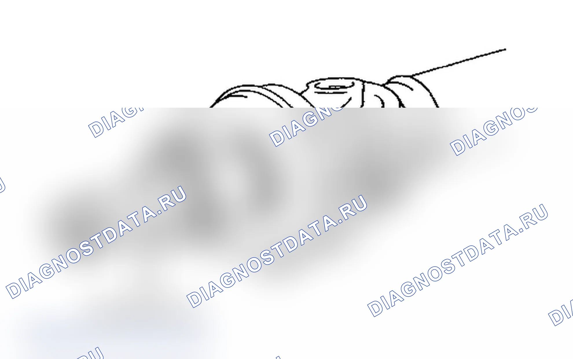 Рис. 23. Lexus IS F I