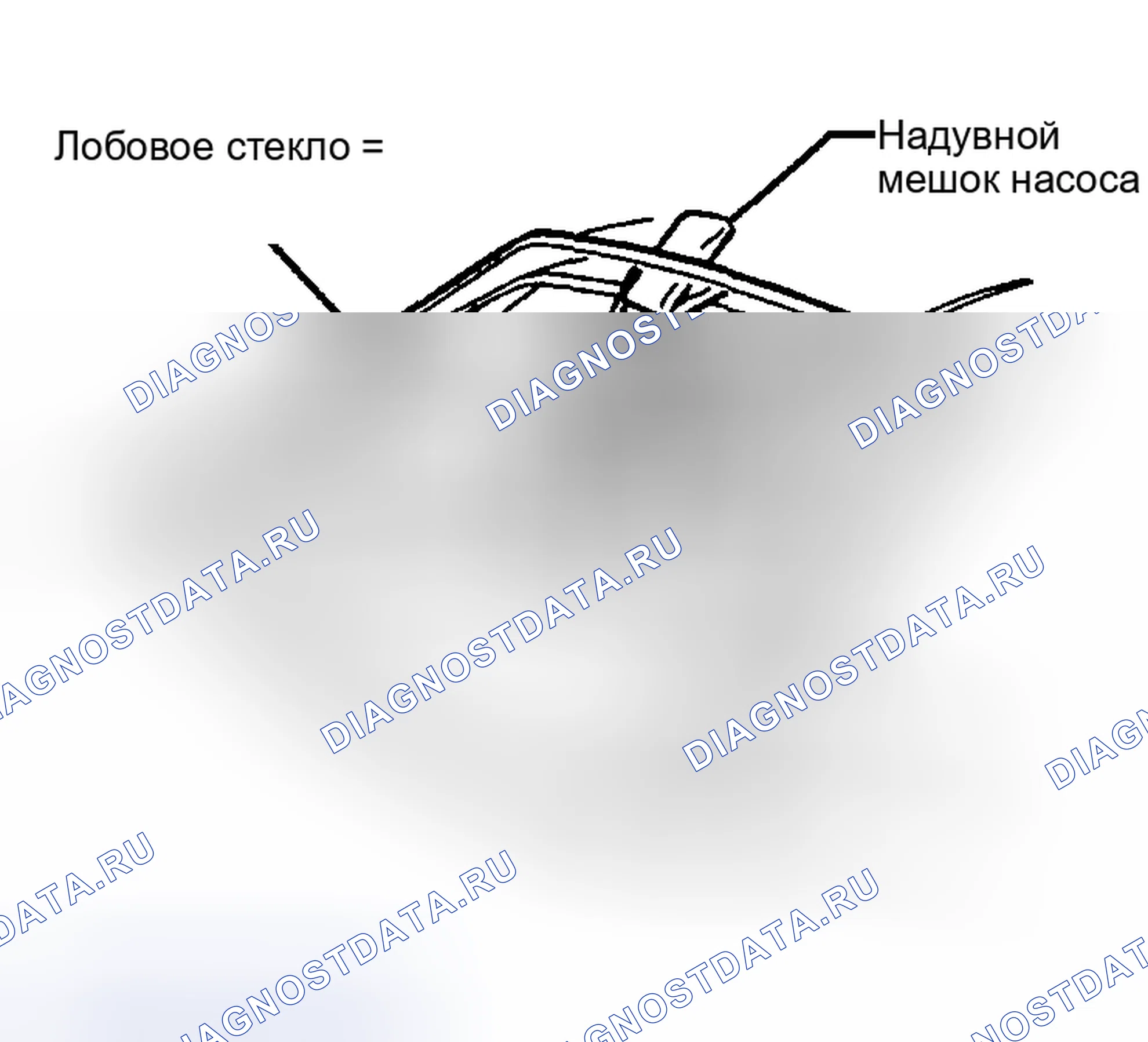 Рис. 10. Nissan Sentra B15