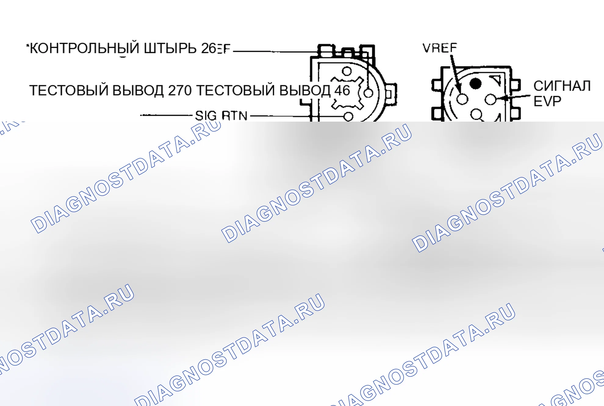 Рис. 30: Идентификация клемм датчика EVP и разъема соленоида EVR. Mazda 121 II