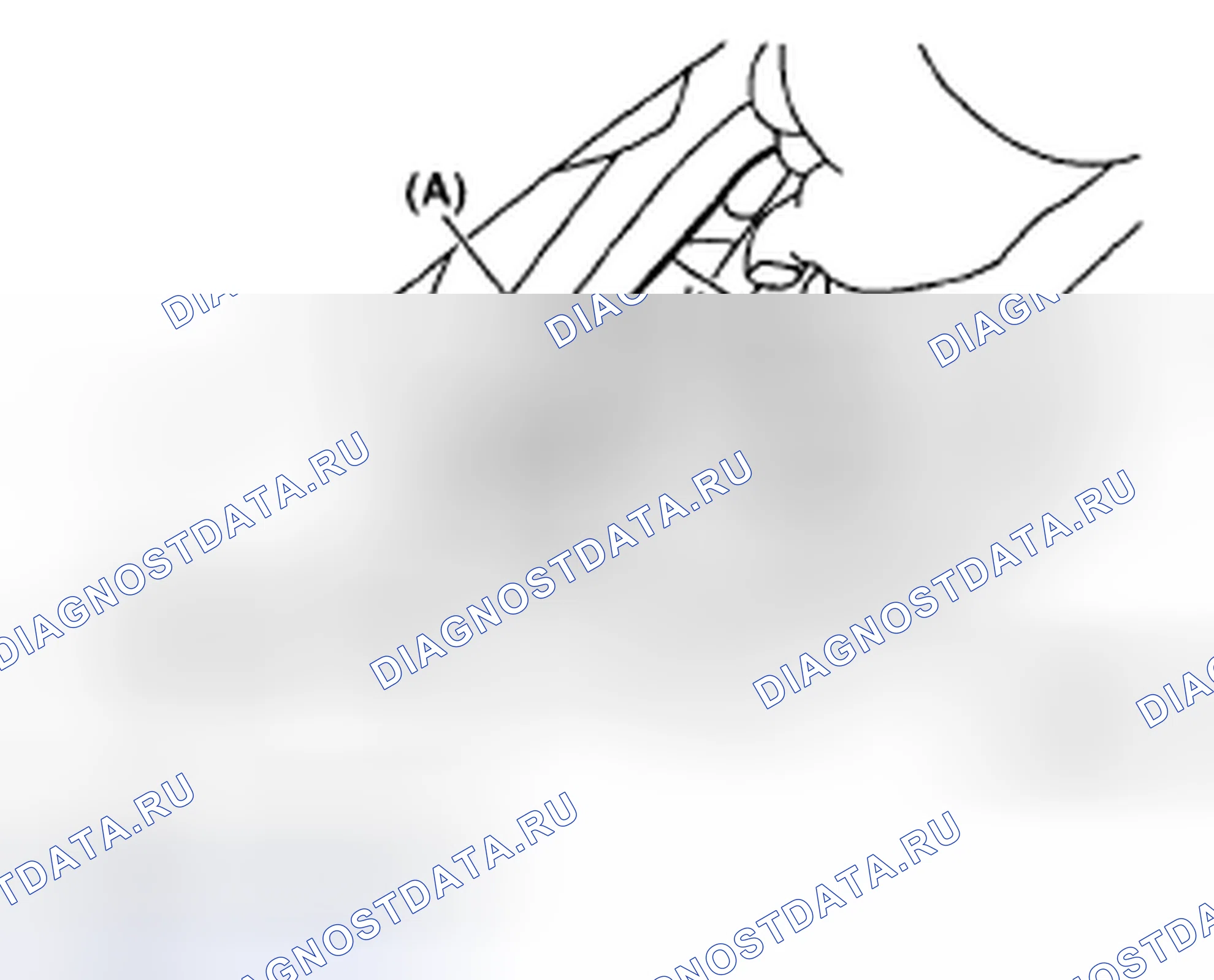 Рис. 817. Subaru Outback BP рестайлинг