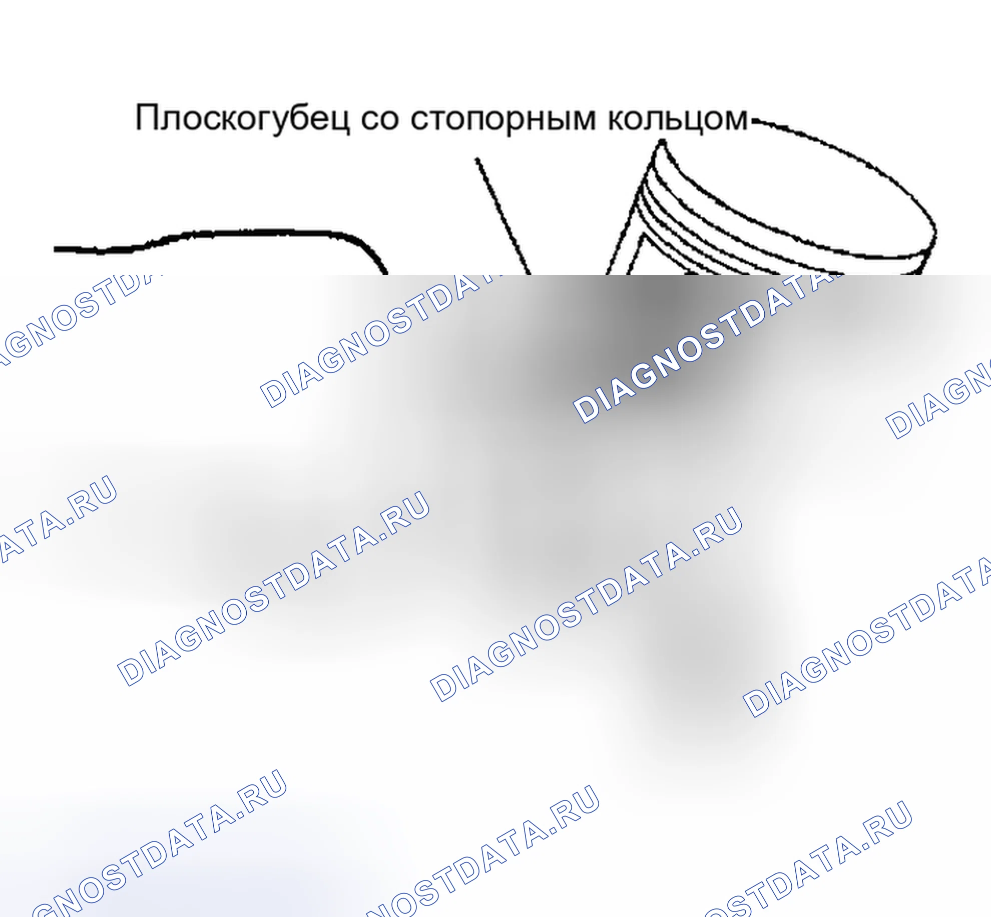 Рис. 116. Nissan Sentra B15