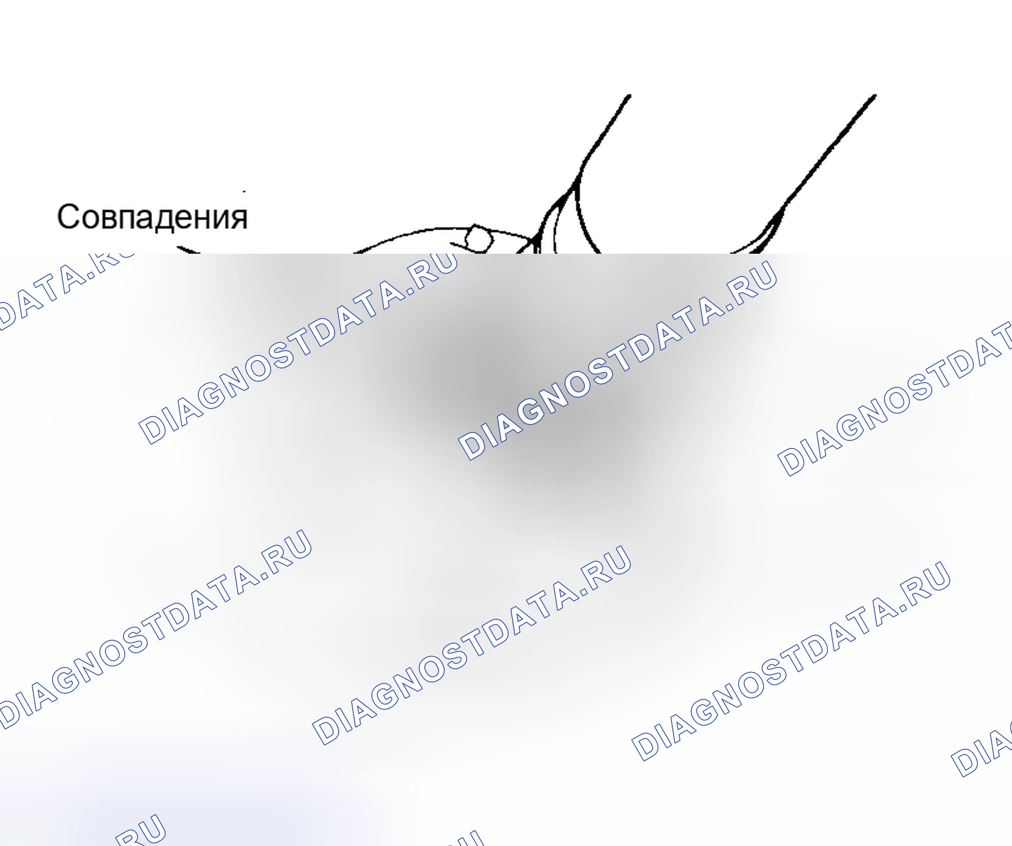Рис. 5. Toyota Previa I