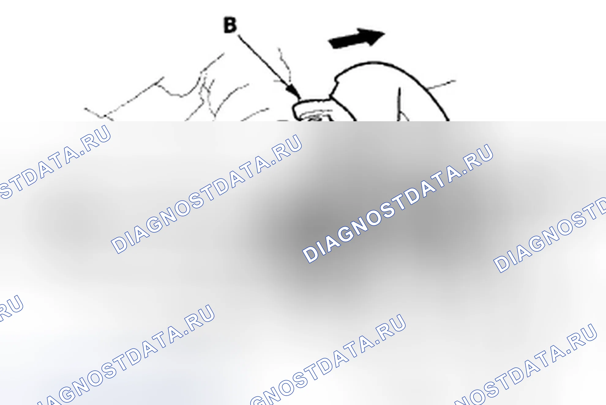 Рис. 10. Honda S2000 AP1