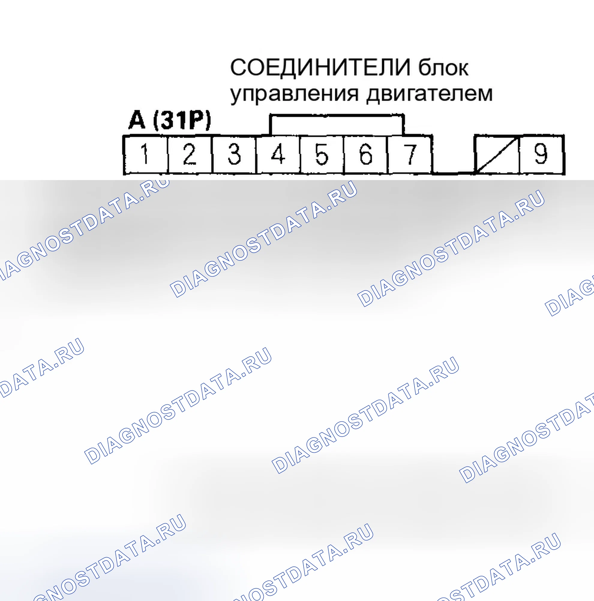 Рис. 498. Honda Civic VII рестайлинг
