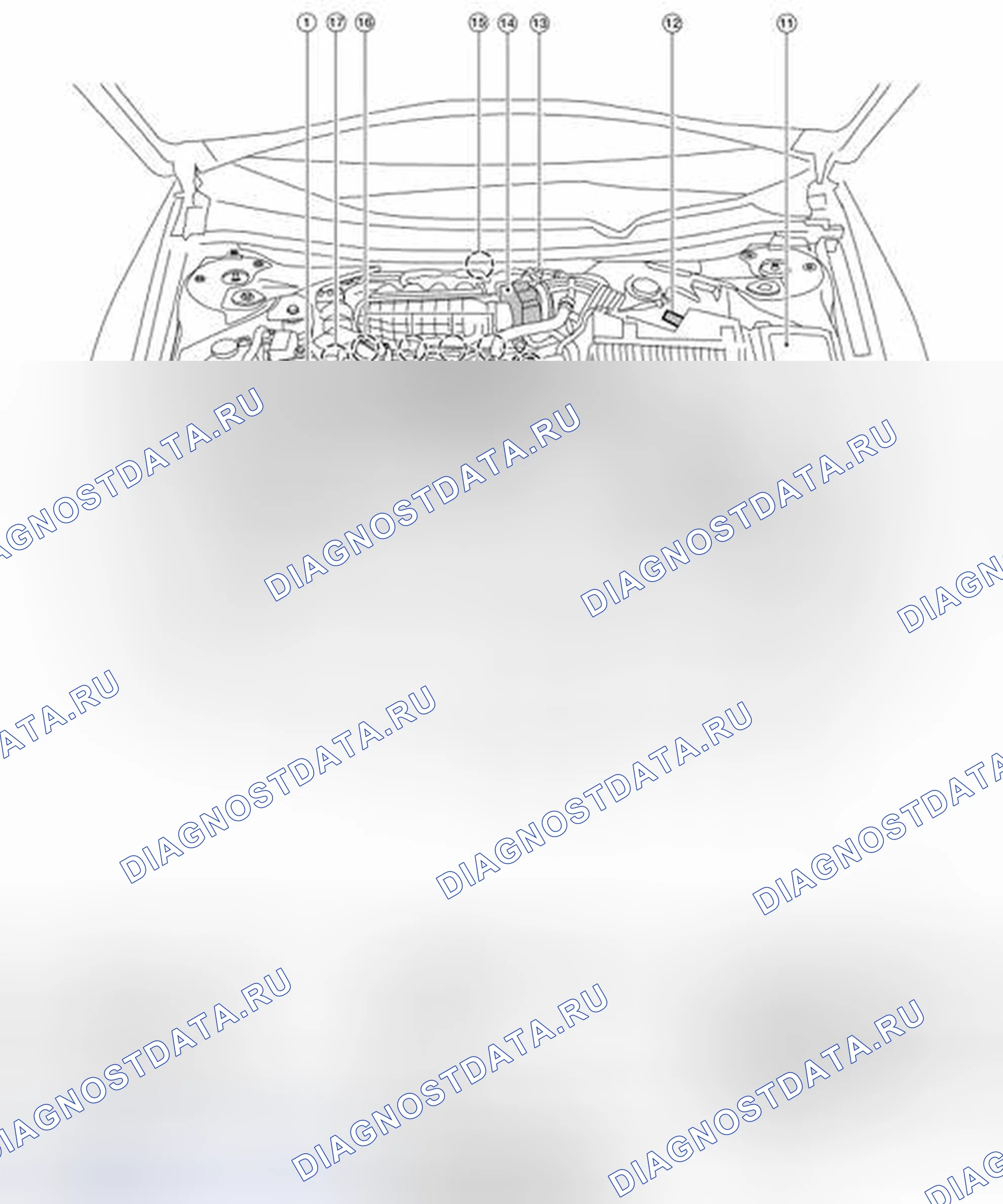 Рис. 259: Расположение компонентов. Nissan Altima L33