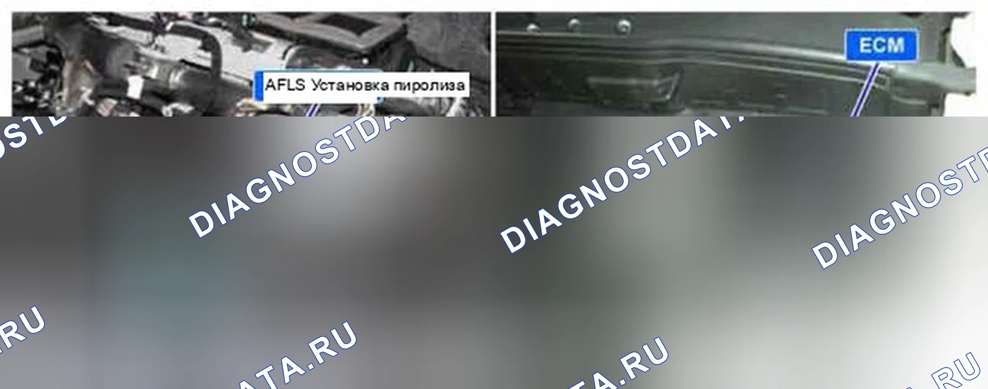 Рис. 217: Расположение компонентов. Hyundai Equus II