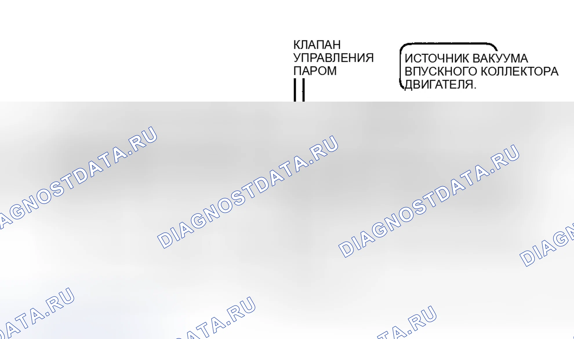 Рис. 51: Идентификация компонентов EVAP. Ford Taurus III