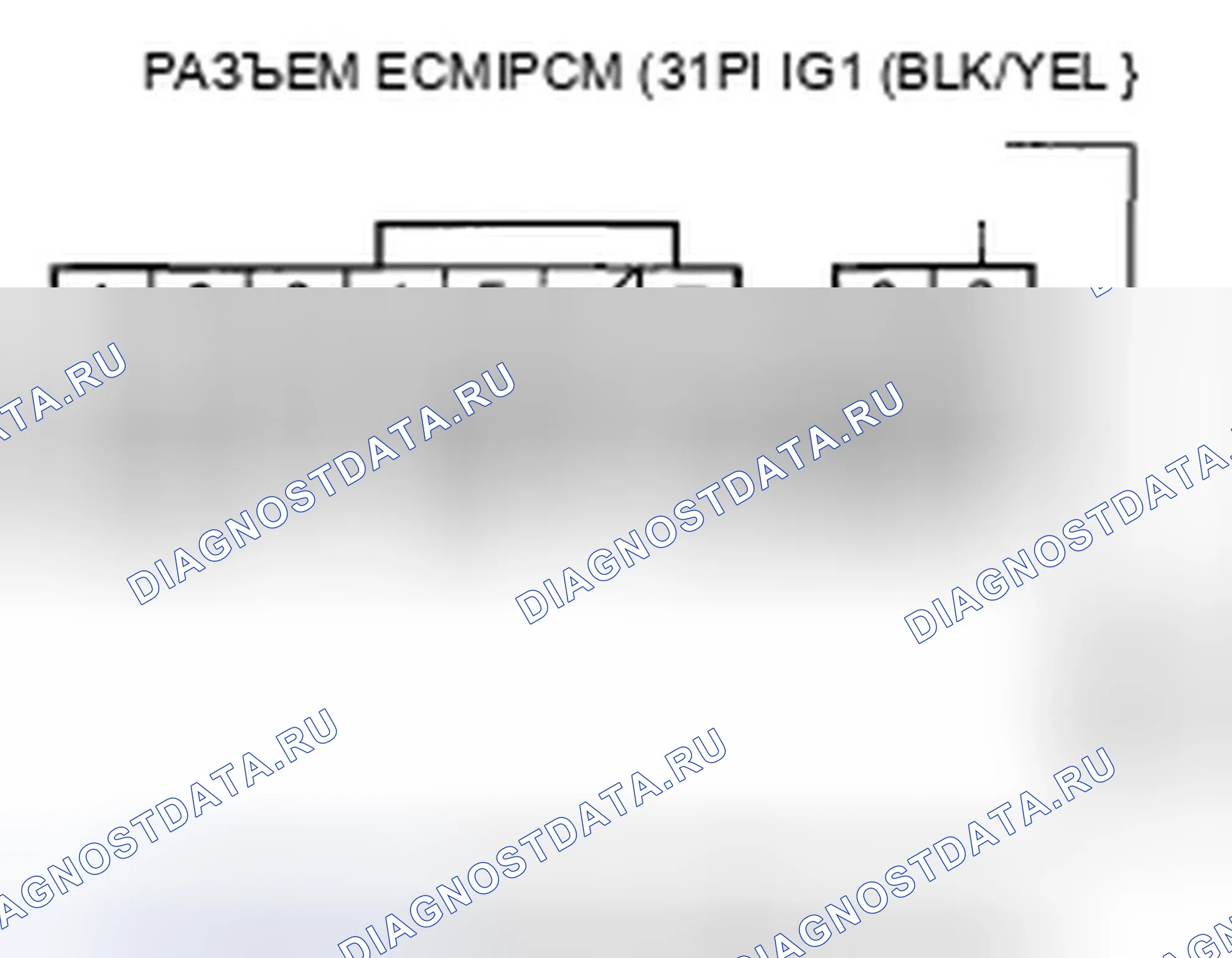 Рис. 451. Honda Element YH2 рестайлинг