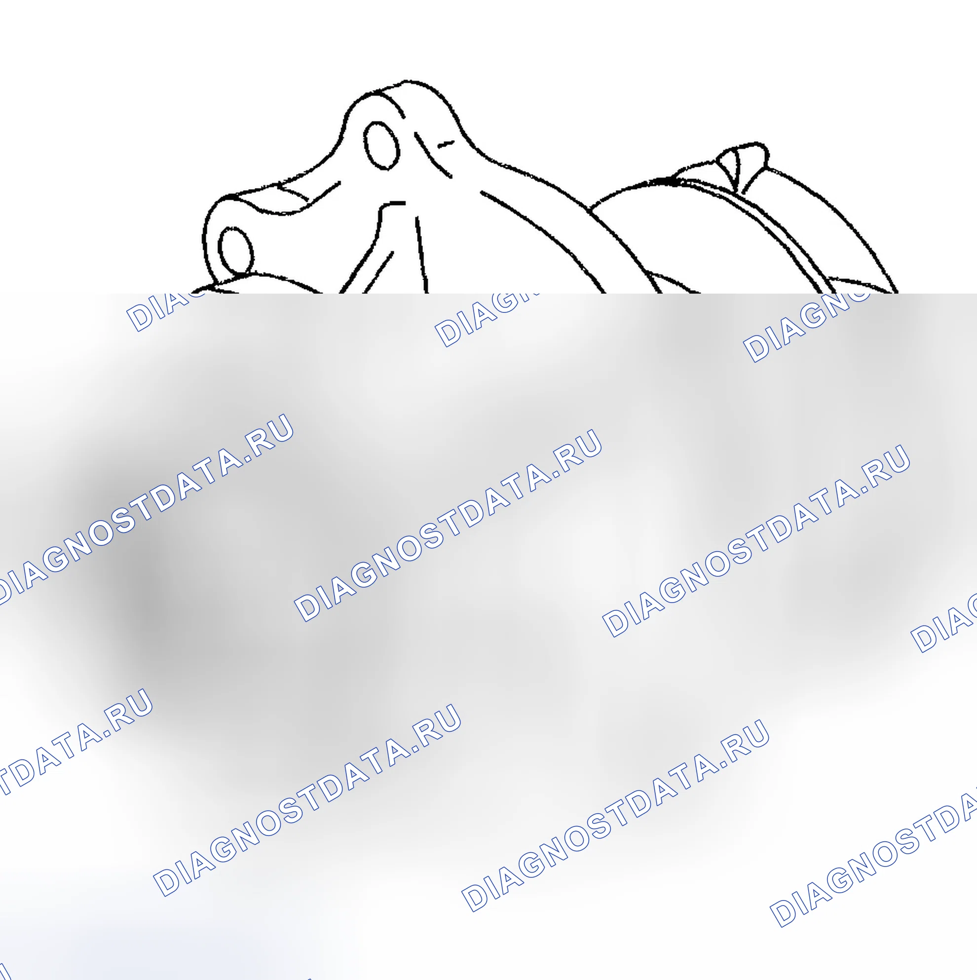 Рис. 1195: Очистка и проверка водяного насоса. Chevrolet TrailBlazer I