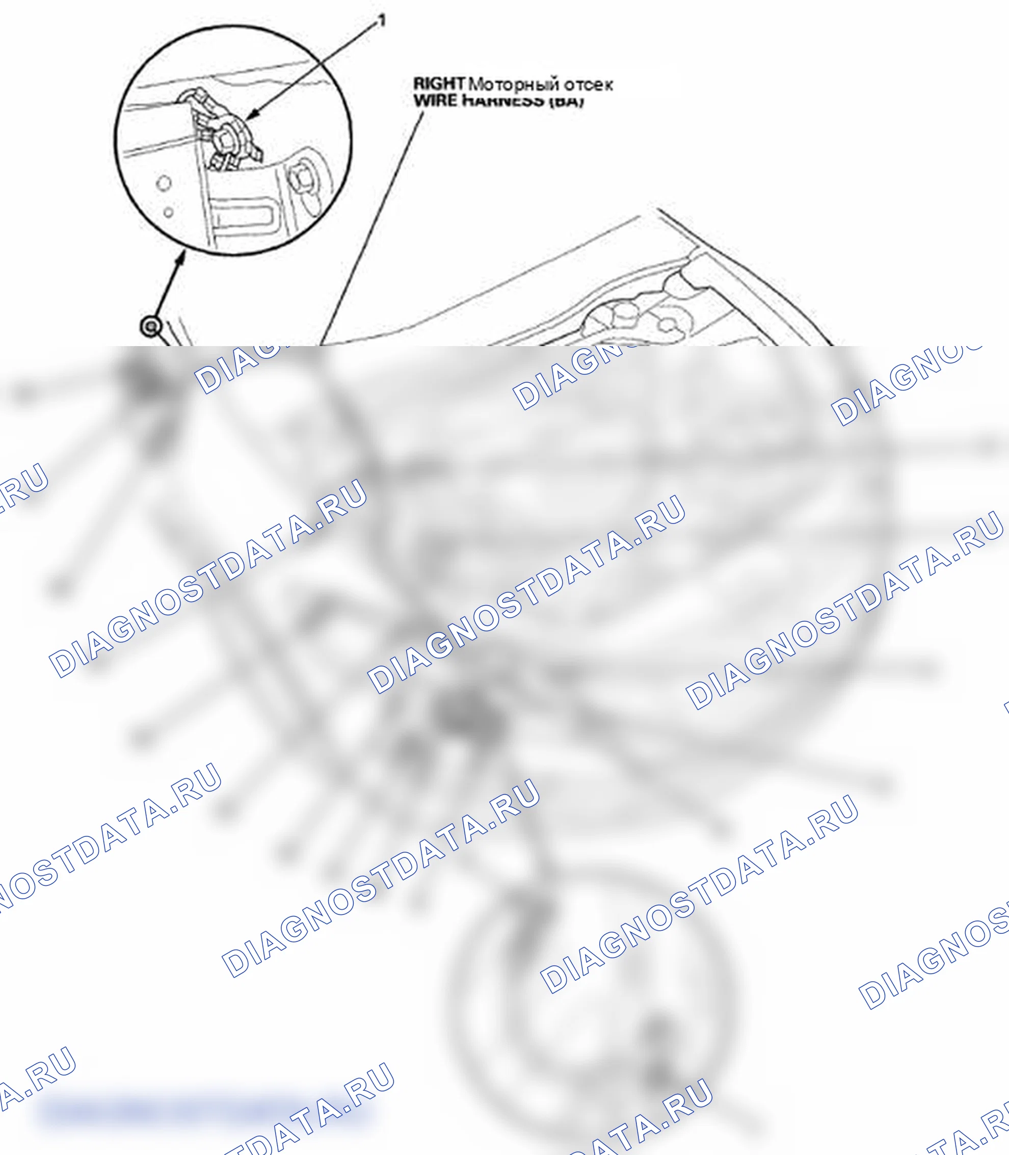 Рис. 134. Honda Crosstour I