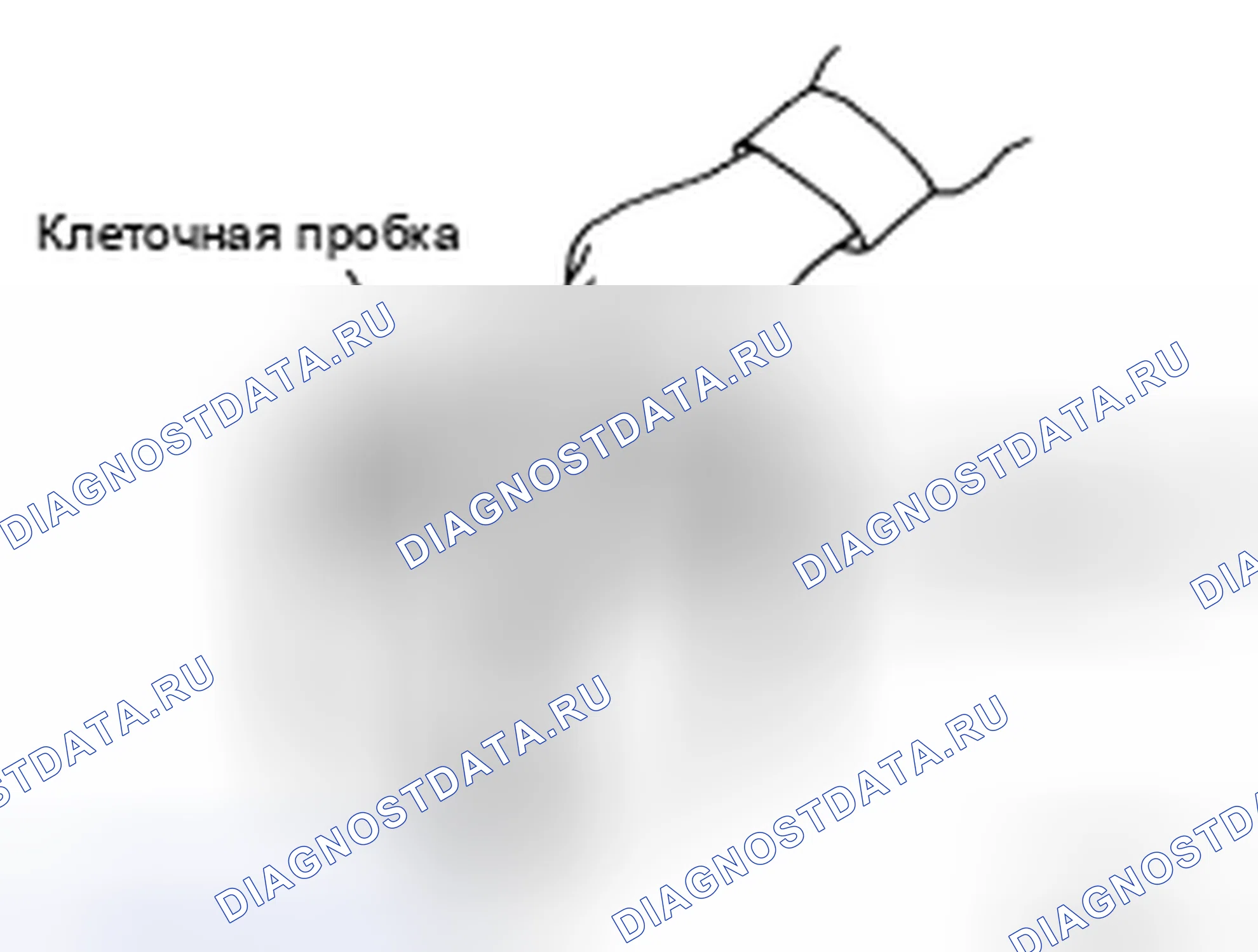 Рис. 79. Honda Saber I
