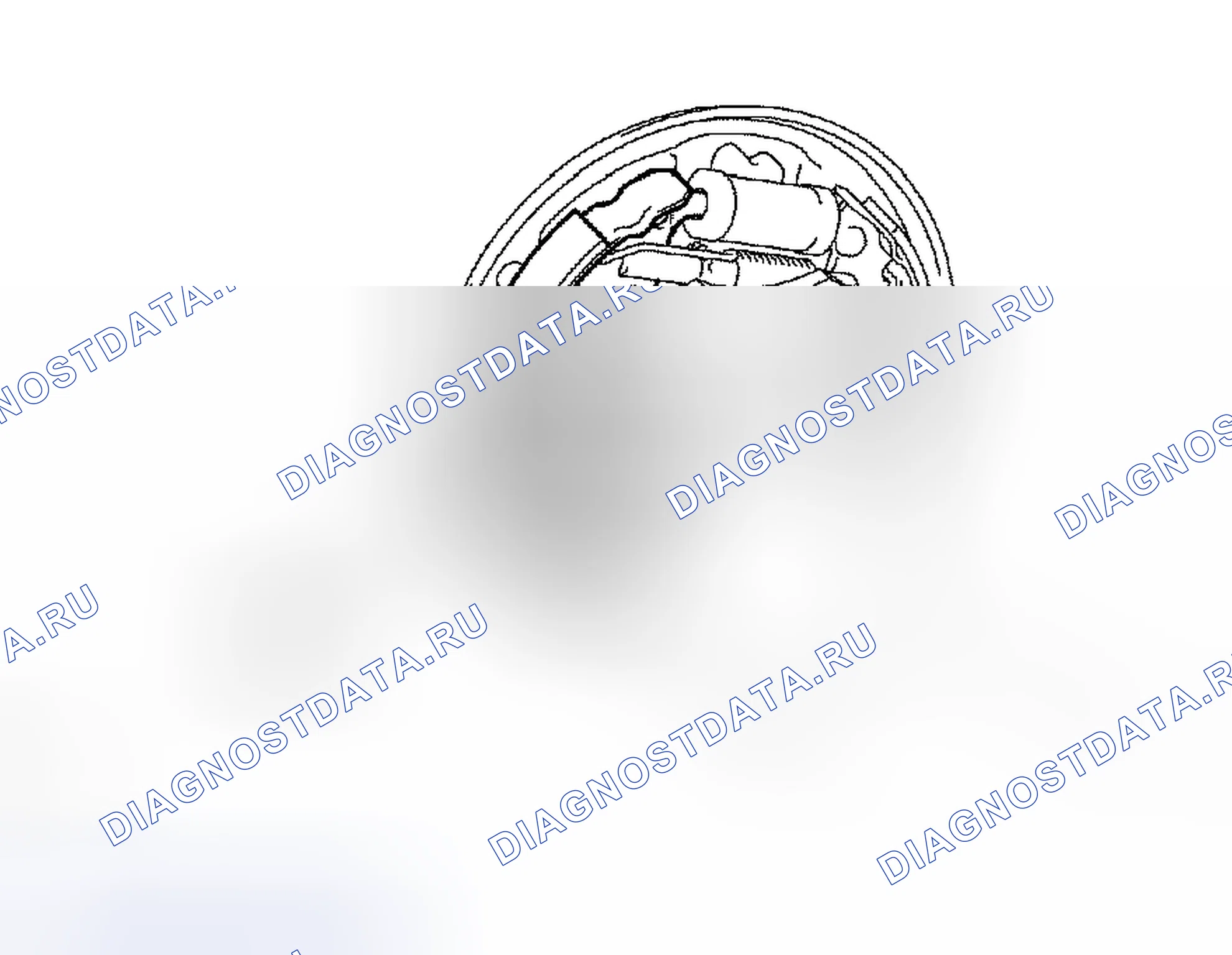 Рис. 65. Scion xB I