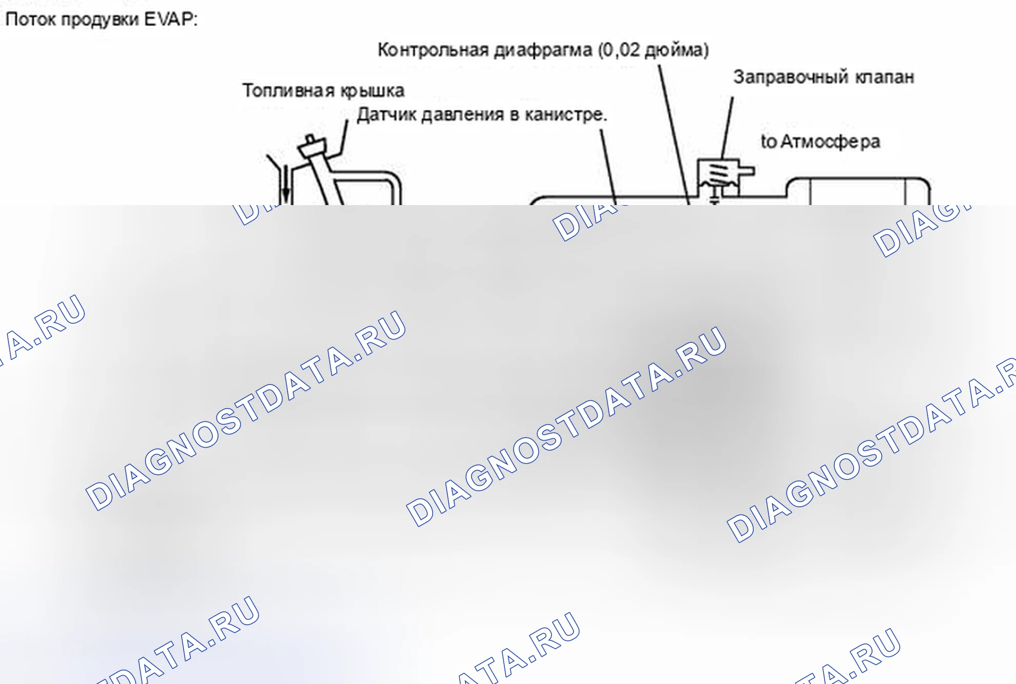 Рис. 62. Lexus IS F I