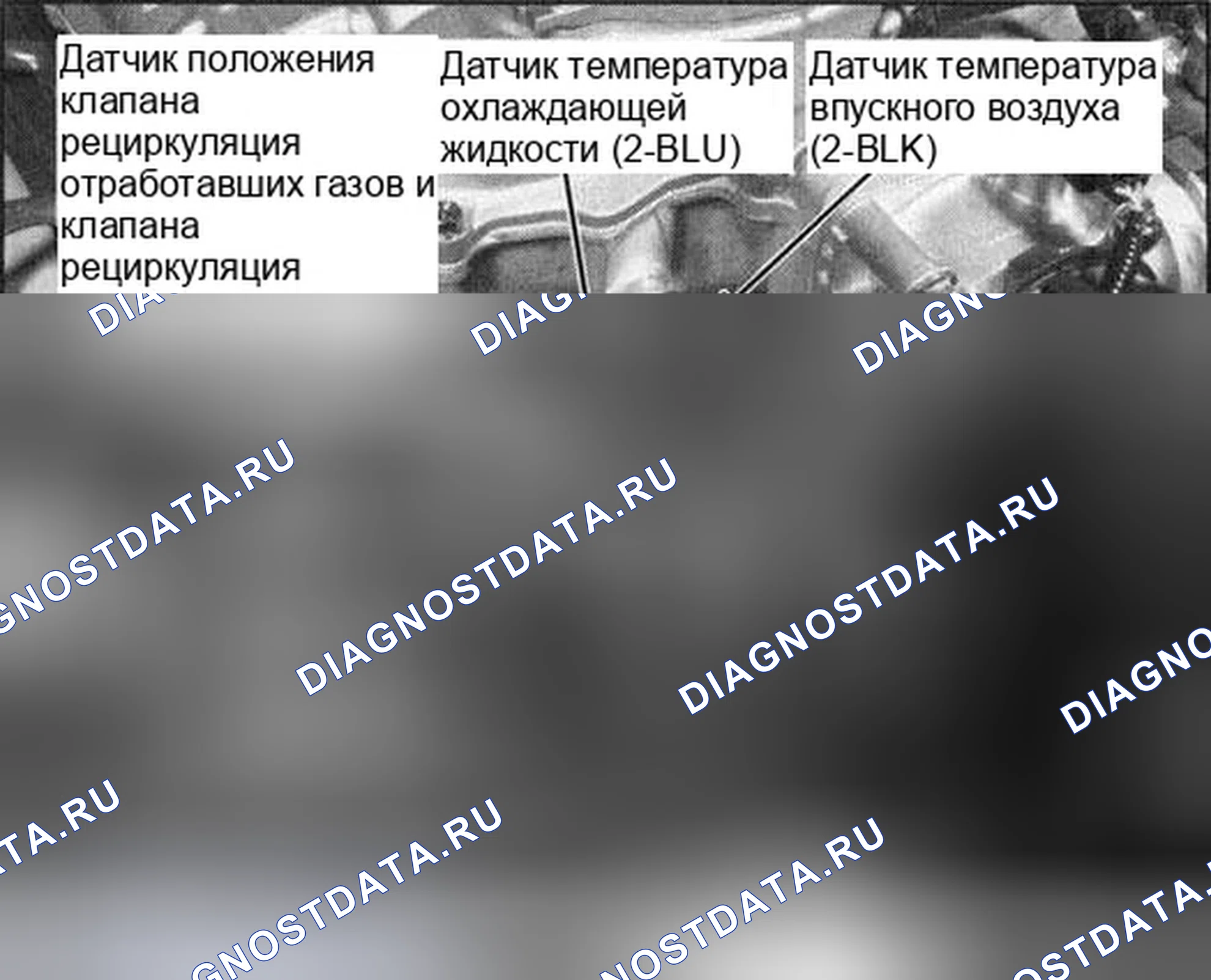Рис. 19. Honda Accord VII рестайлинг