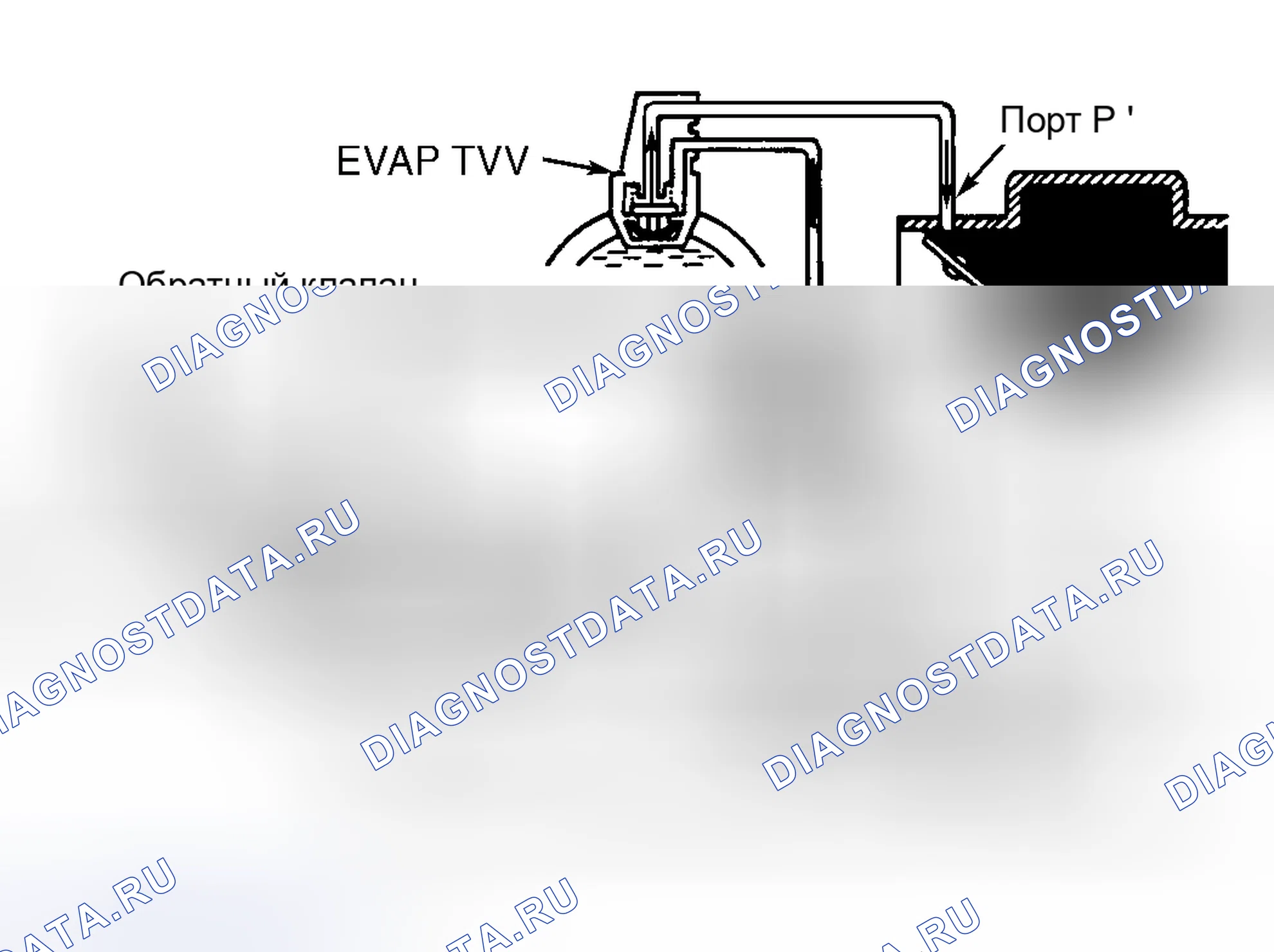 Рис. 3: СИСТЕМА ИСПАРИТЕЛЬНЫХ ВЫБРОСОВ (EVAP). Toyota RAV4 I