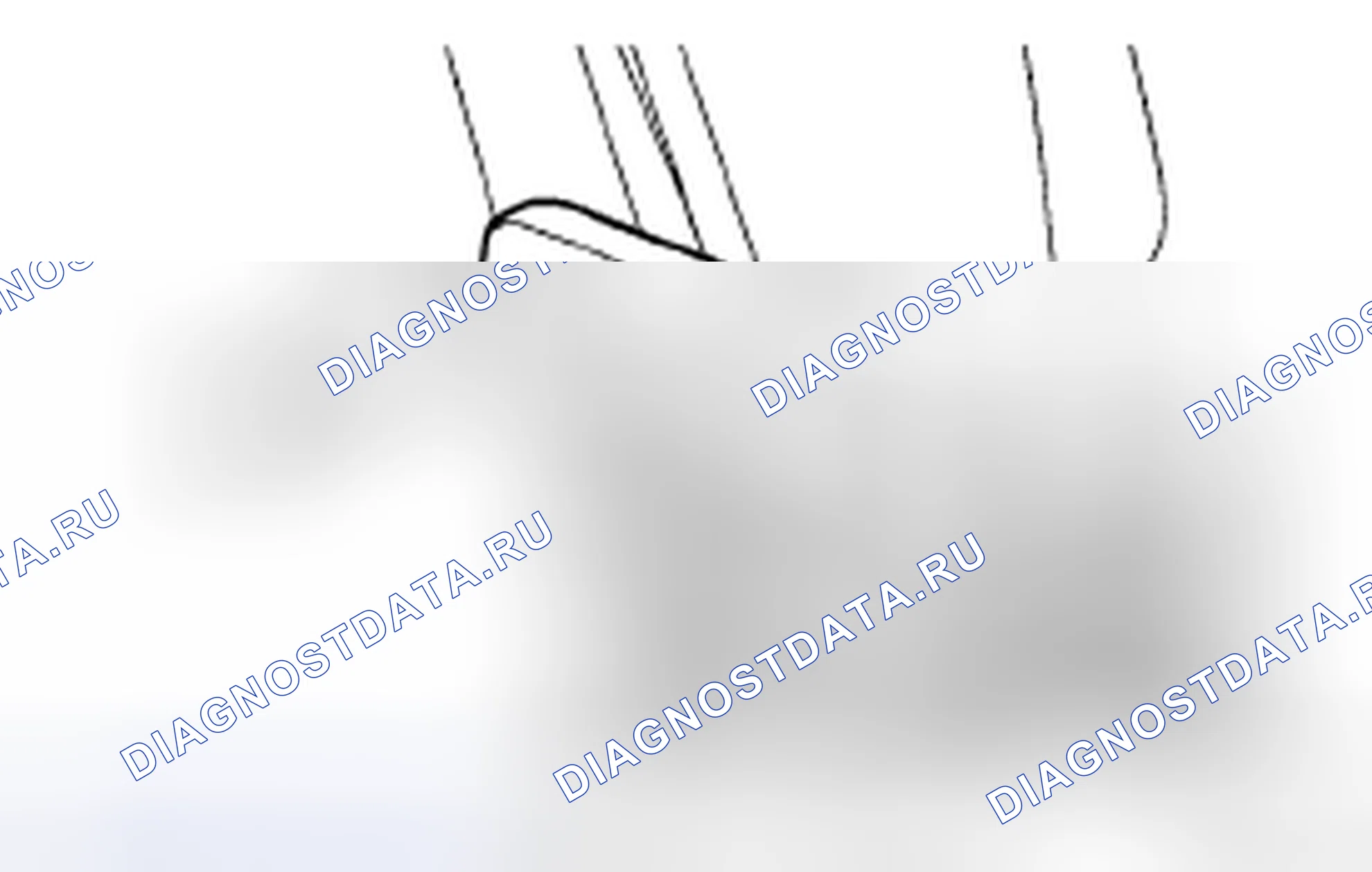 Рис. 244. Toyota Highlander II