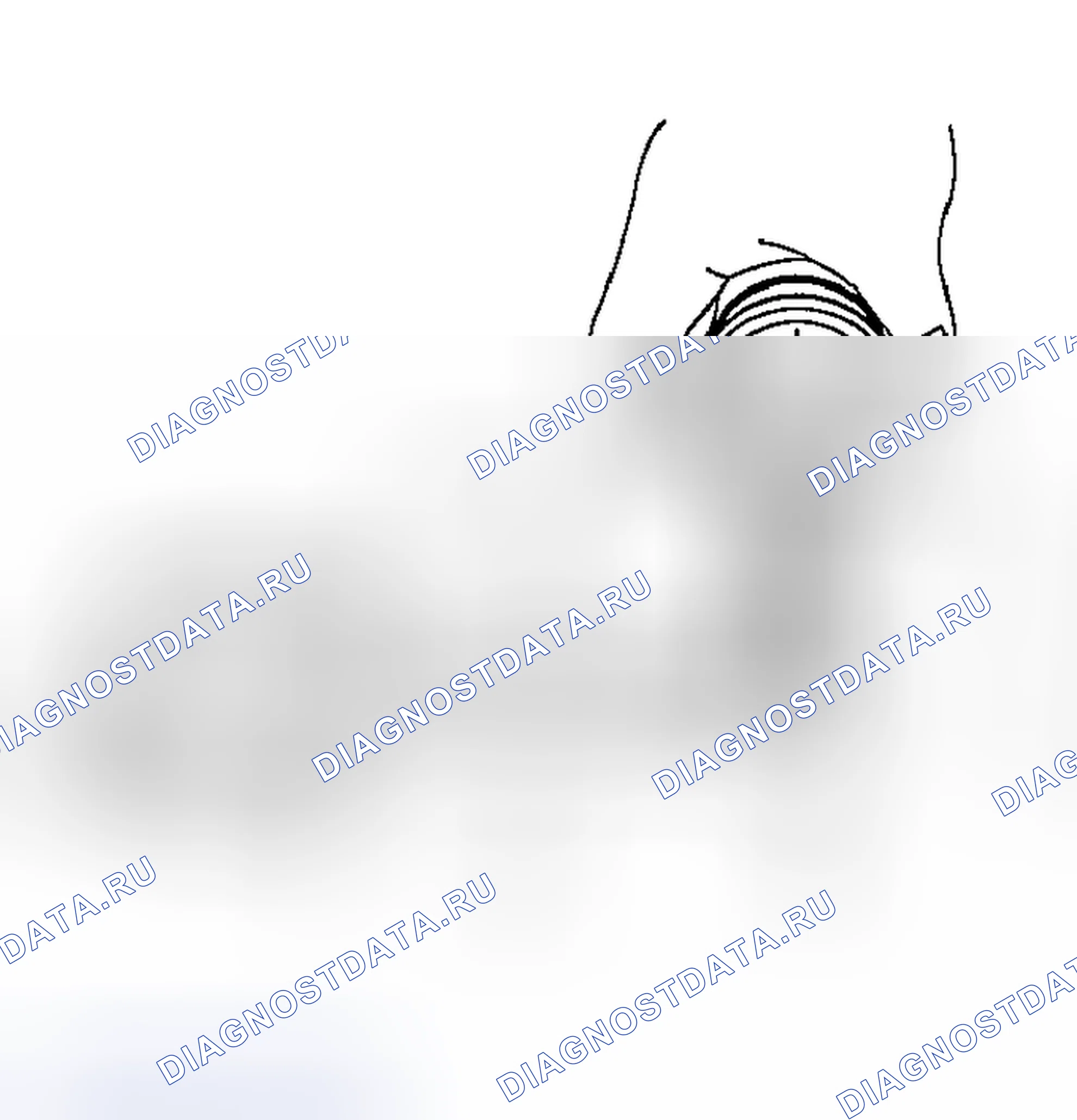 Рис. 518. Subaru Outback BP